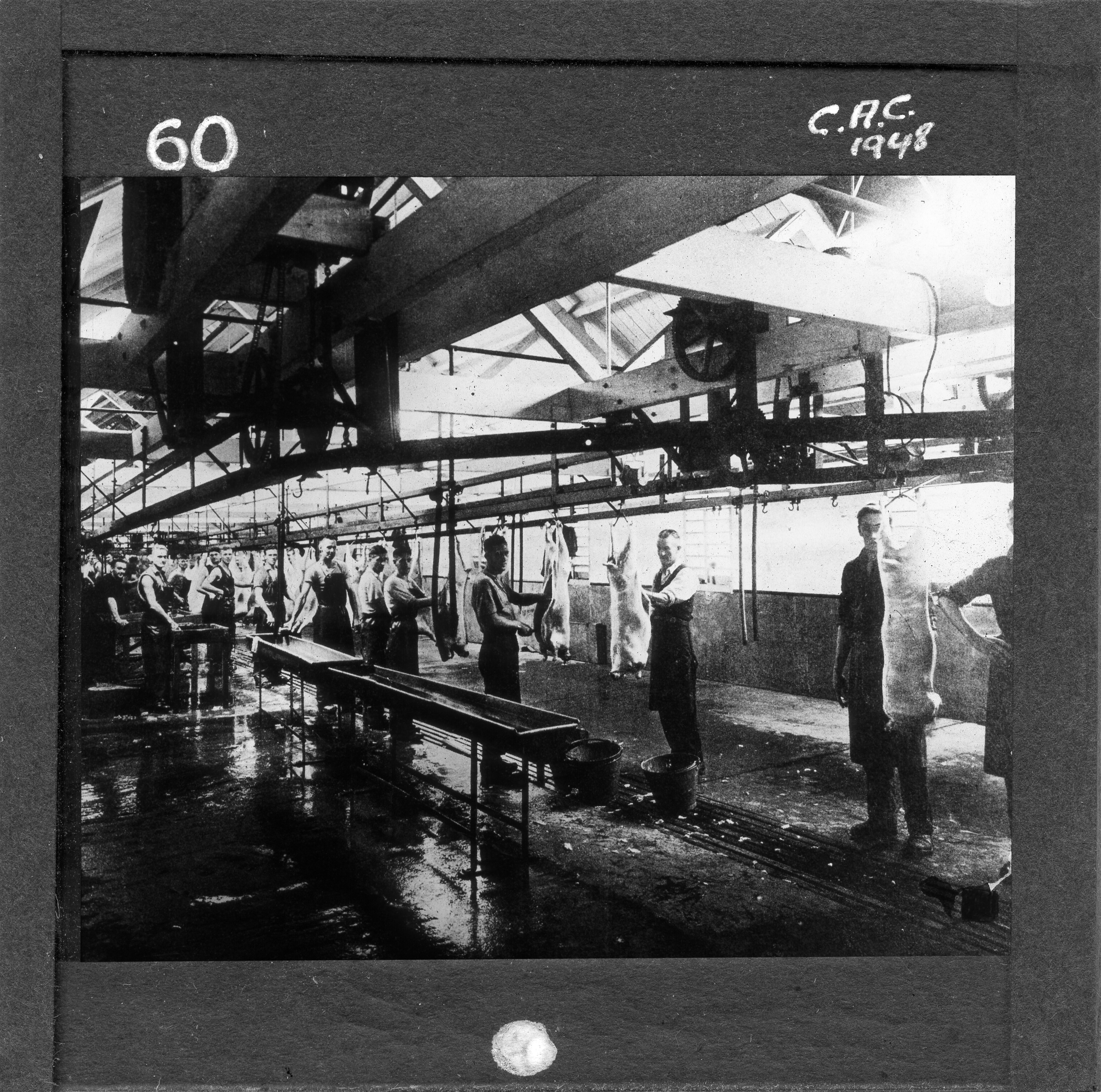 NZ Agriculture Slides-1948-49_060