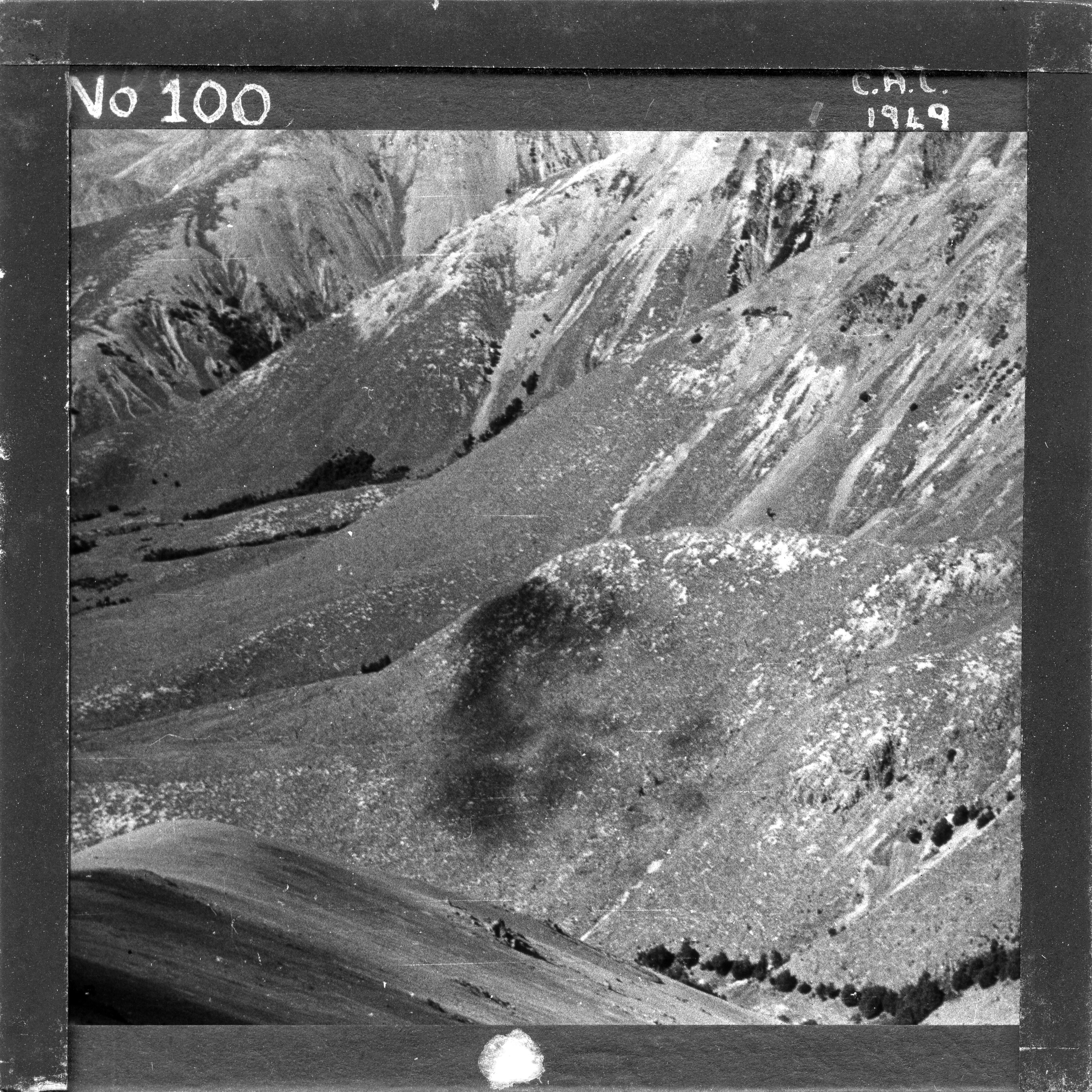 NZ Agriculture Slides-1948-49_100