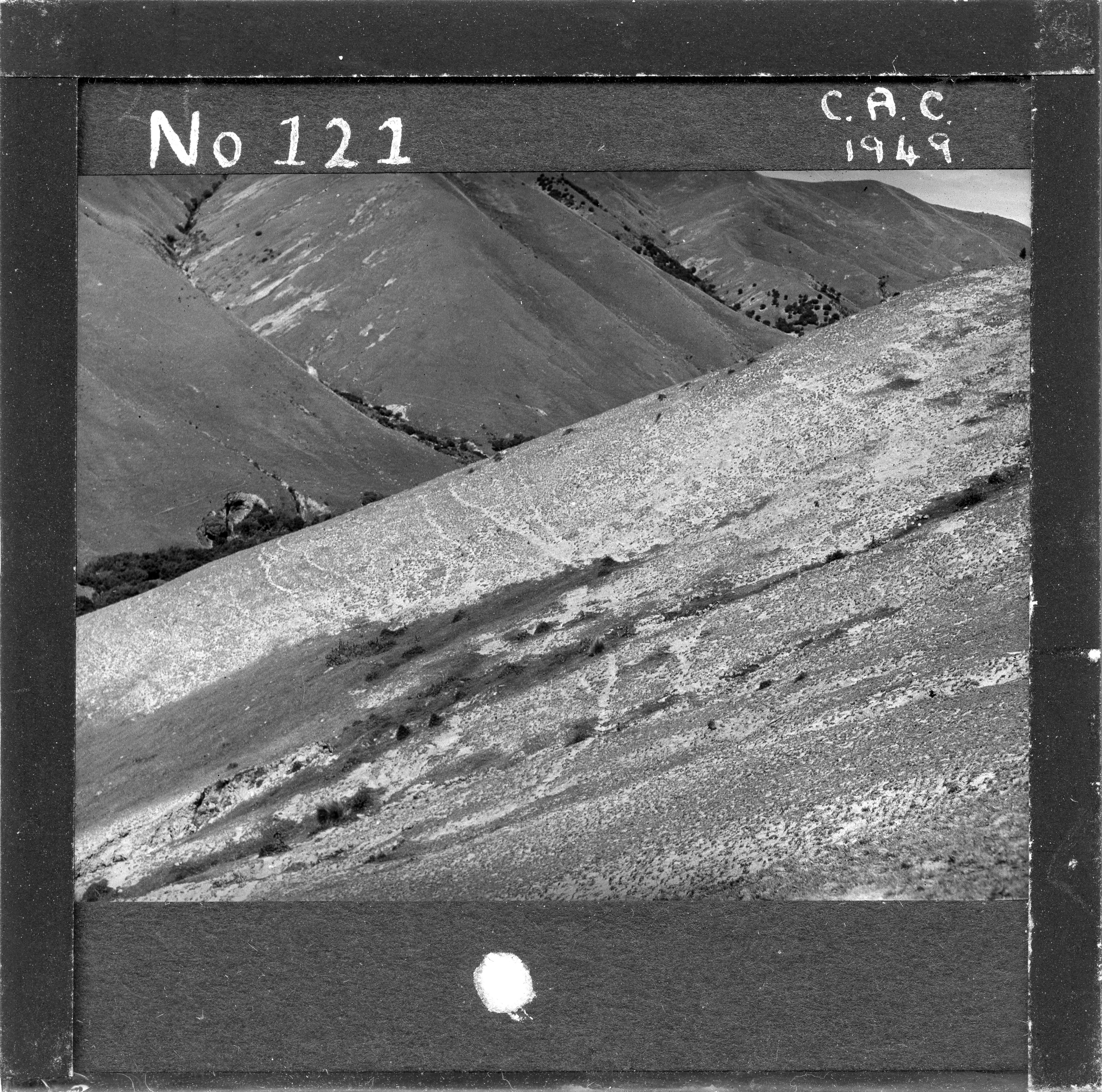 NZ Agriculture Slides-1948-49_121