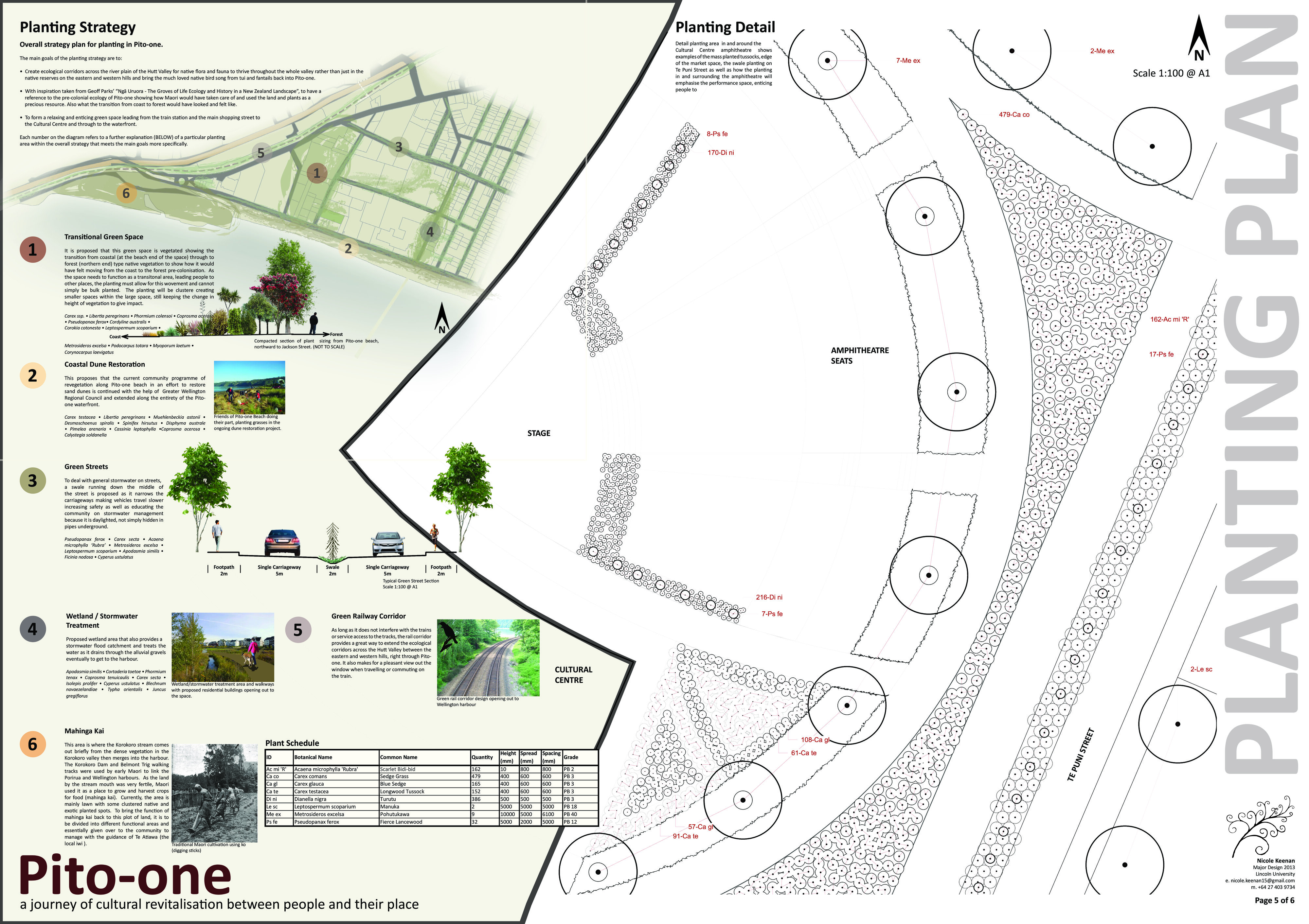 Pito-one-a journey of cultural revitalisation P6 Planting Plan