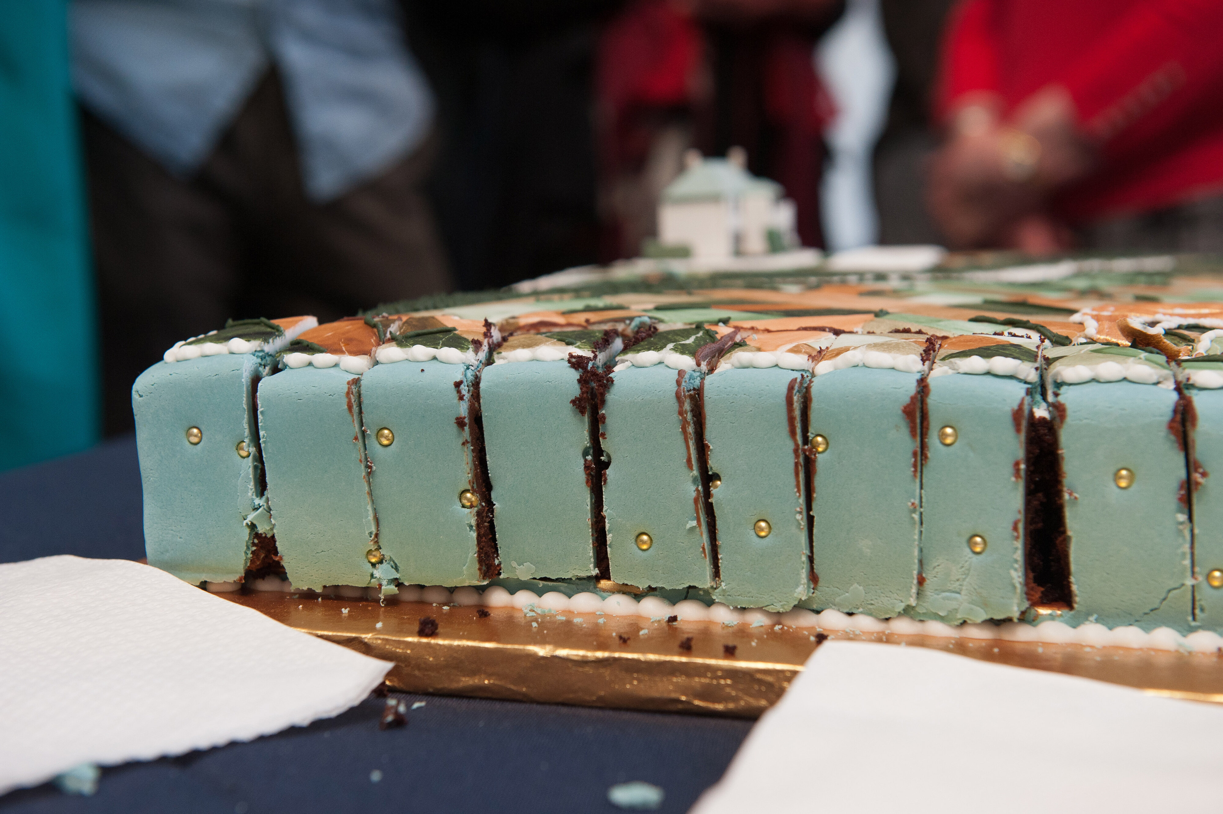 2012 Lincoln University AERU 50th Anniversary  (91)