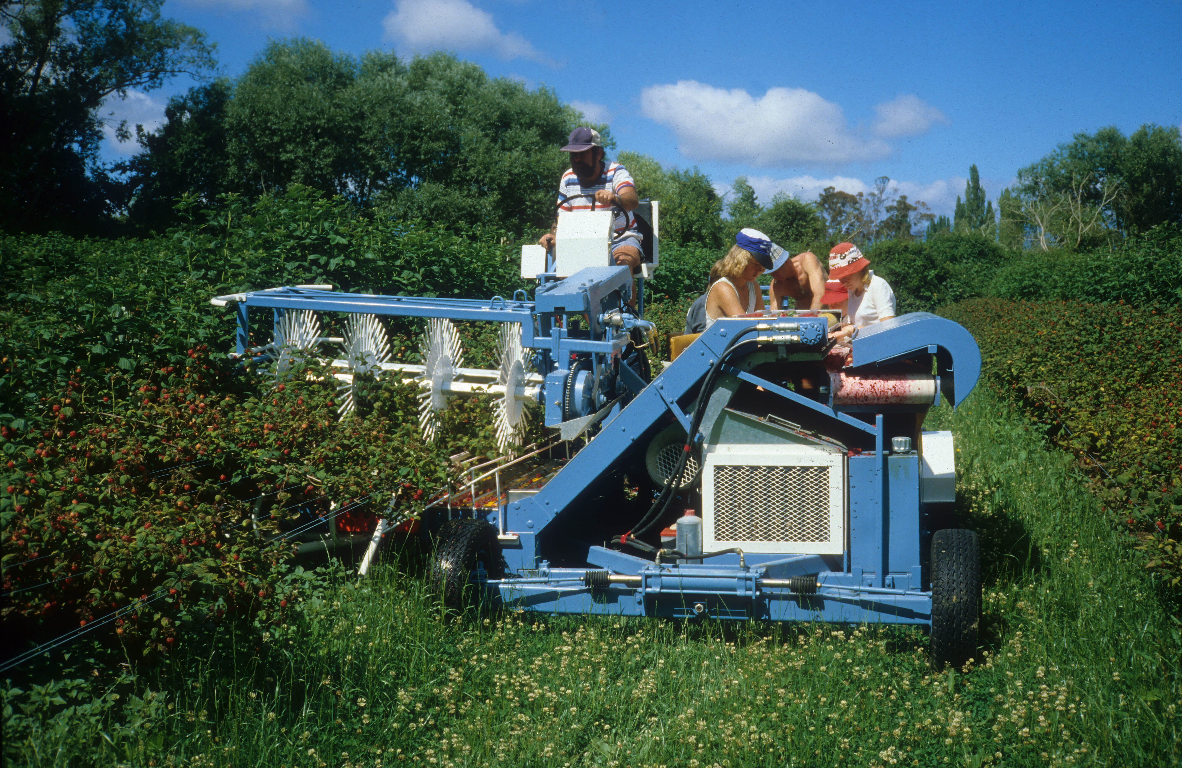 Lincoln Agritech Slides 16