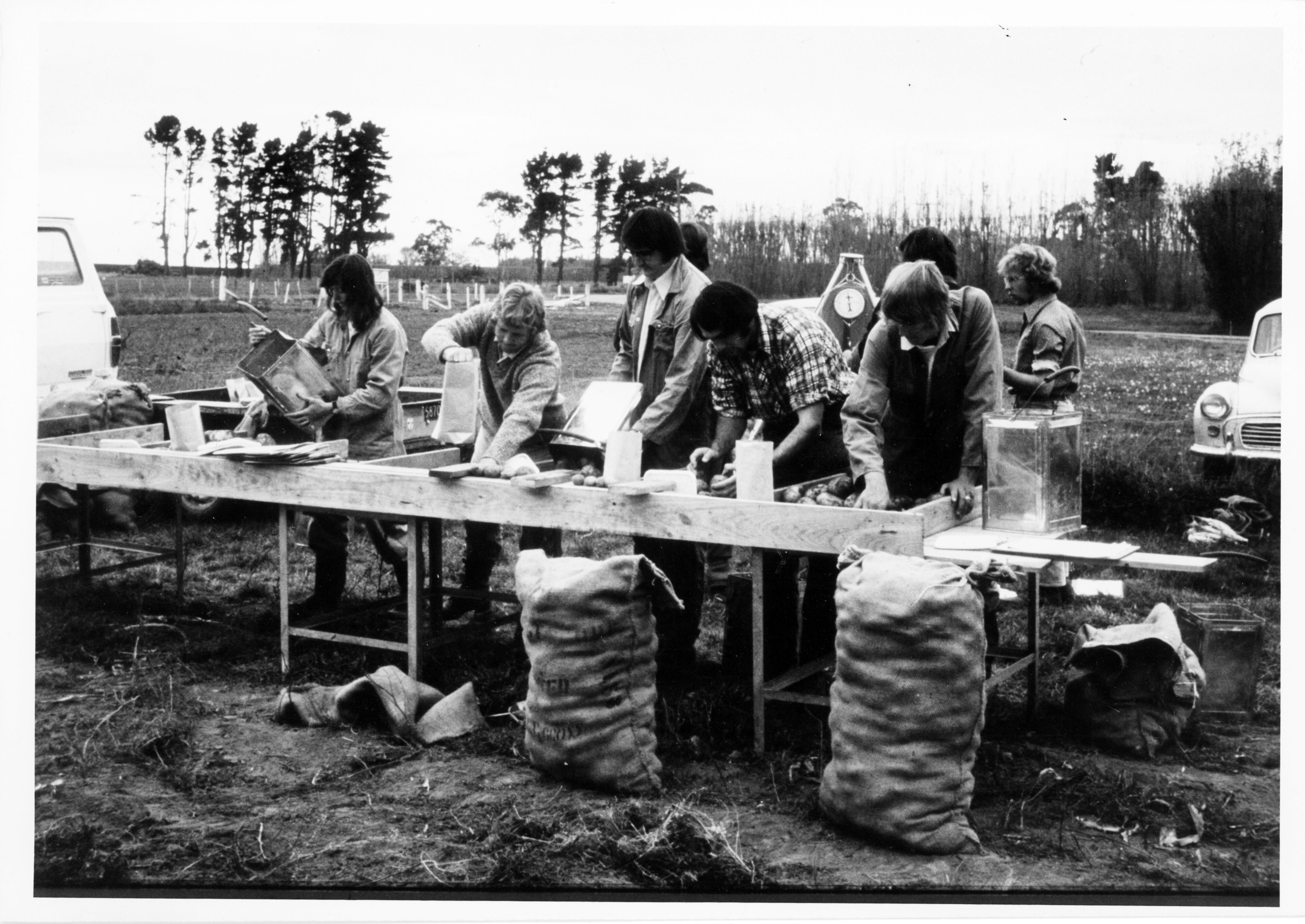 c.1970 Student working at the laboratory