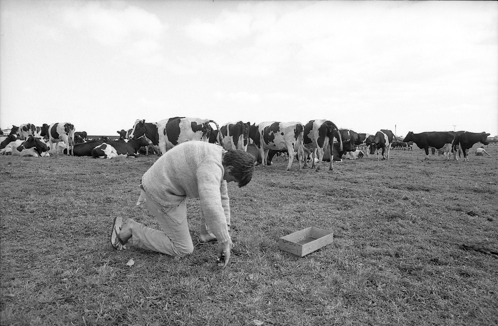 1982 DipAg Students at LU dairy farm -Neg1811 (8)