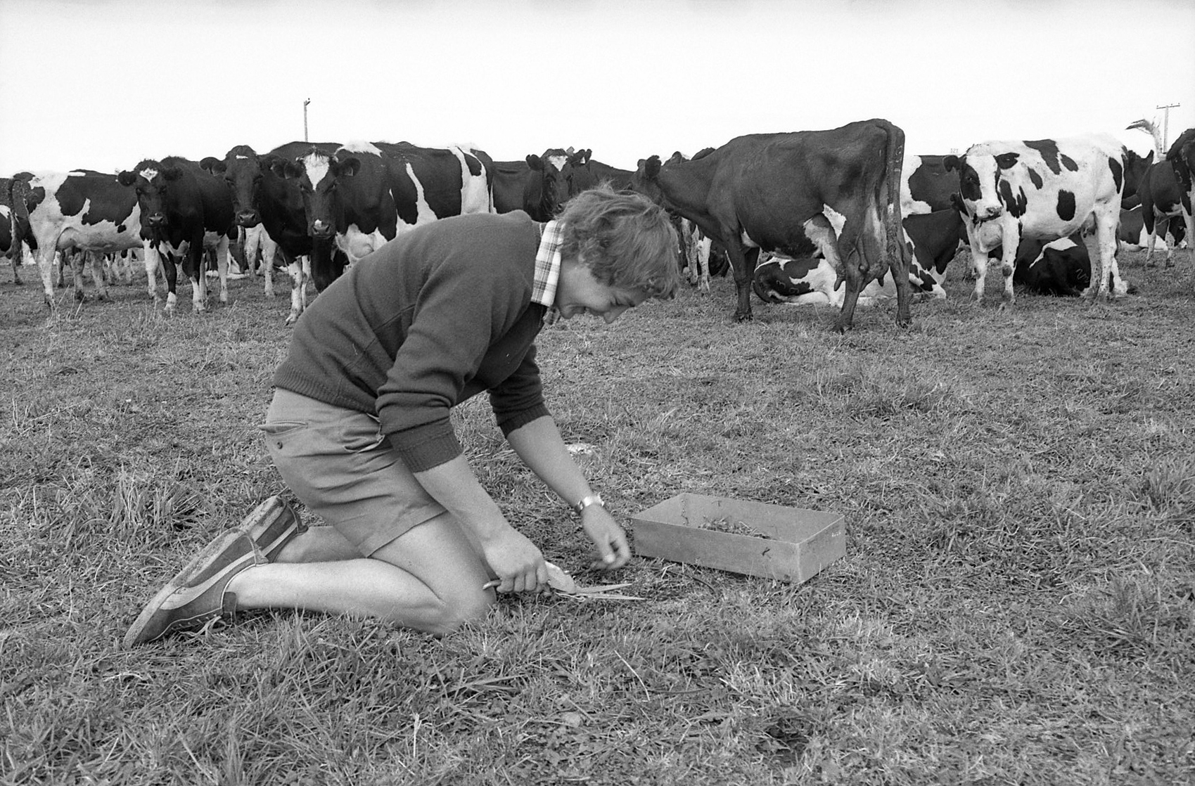 1982 DipAg Students at LU dairy farm -Neg1811 (10)