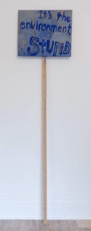 It's the environment stupid