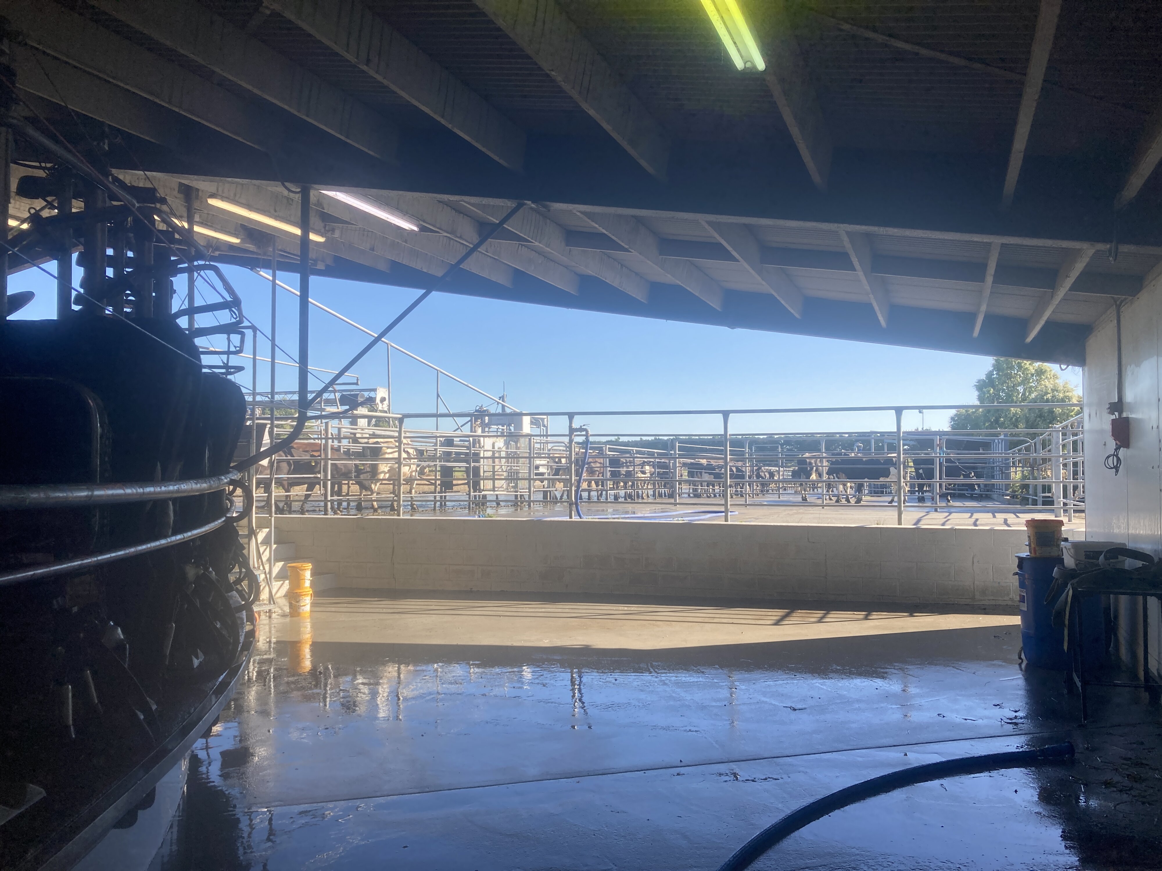 The beauty of New Zealand's agriculture and incredible landscapes 3