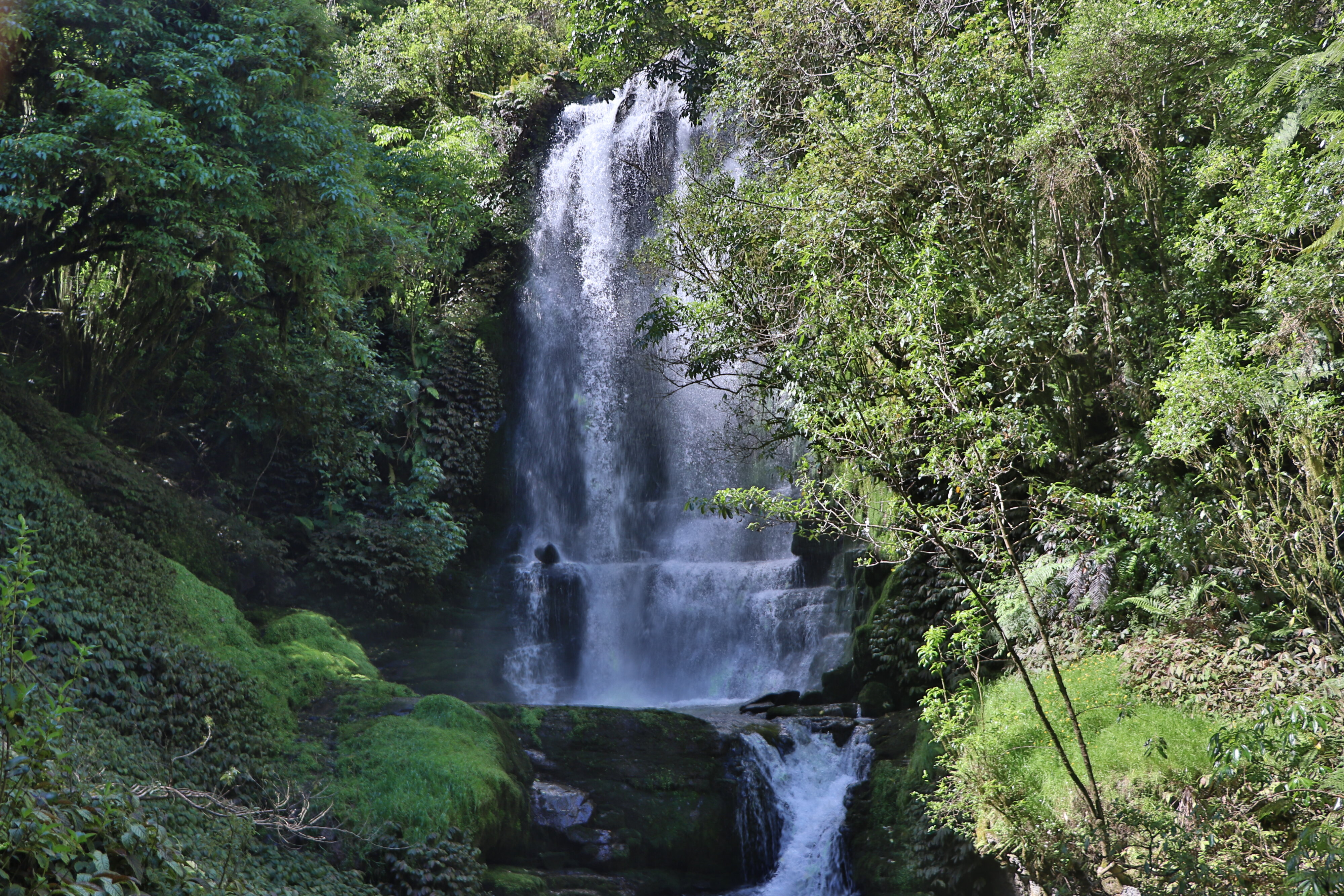 Time stopped still at Waitanguru Falls in Piopio, Waikato