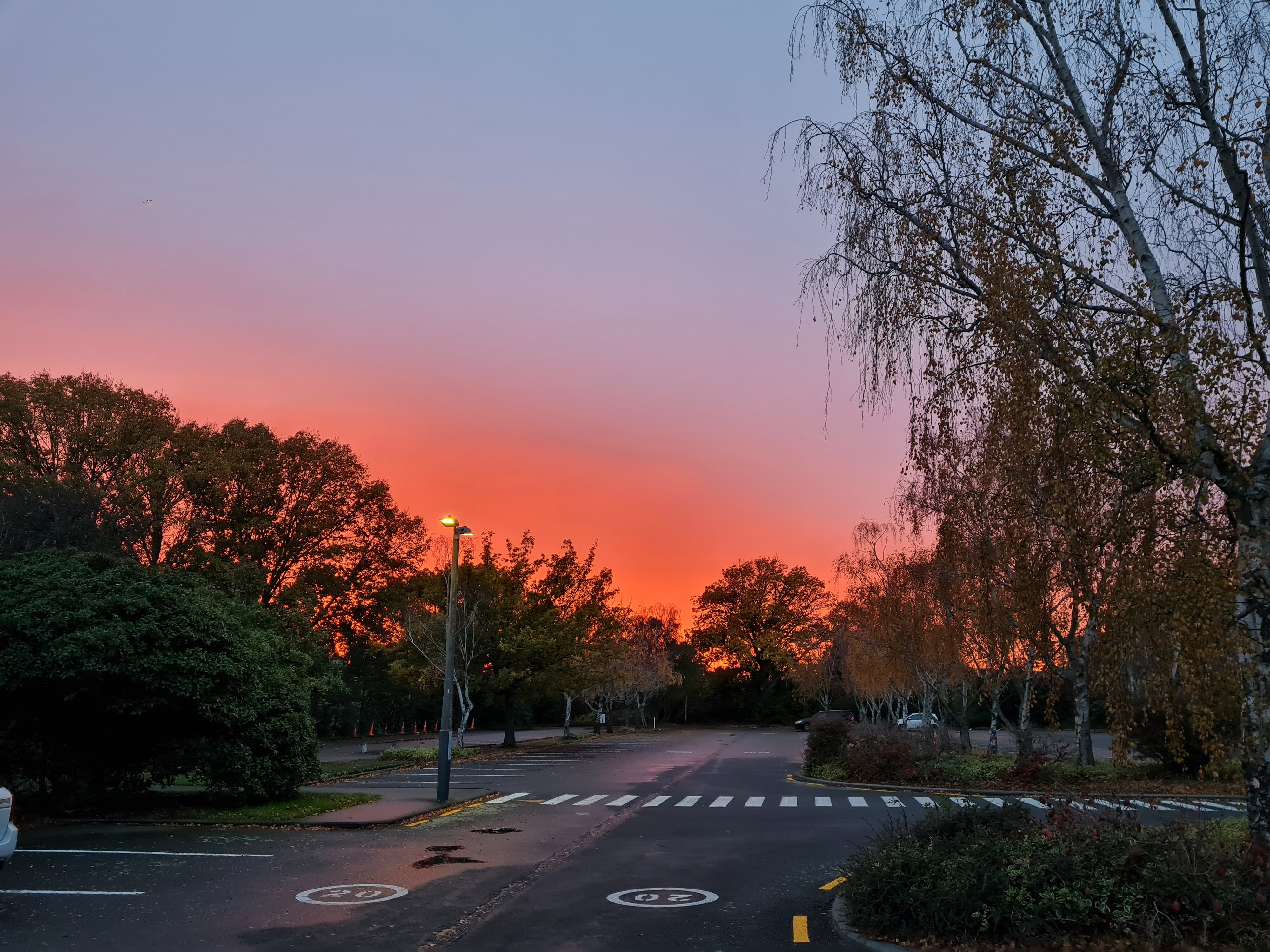 Orchard carpark under a fiery hued sunrise