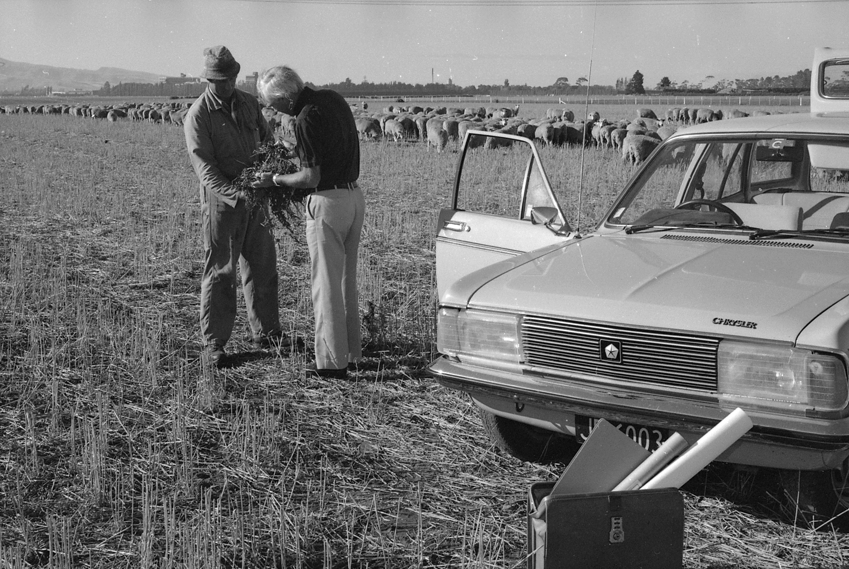 1982 Graeme Tate &amp; John McCartin at mixed cropping farm (3)
