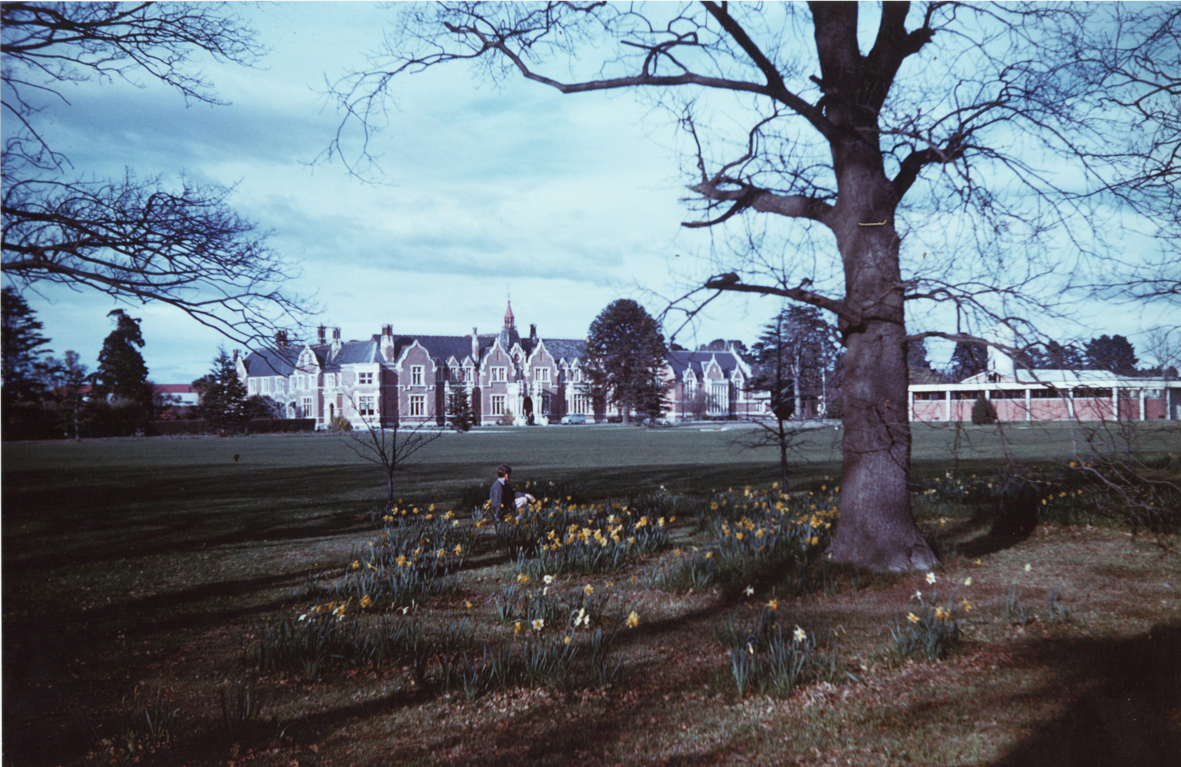 1960s Campus in spring