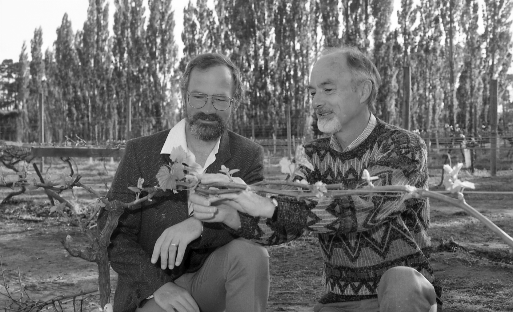 1993 Dr Mike Trought &amp; Dr David Jackson in LU Vineyard 