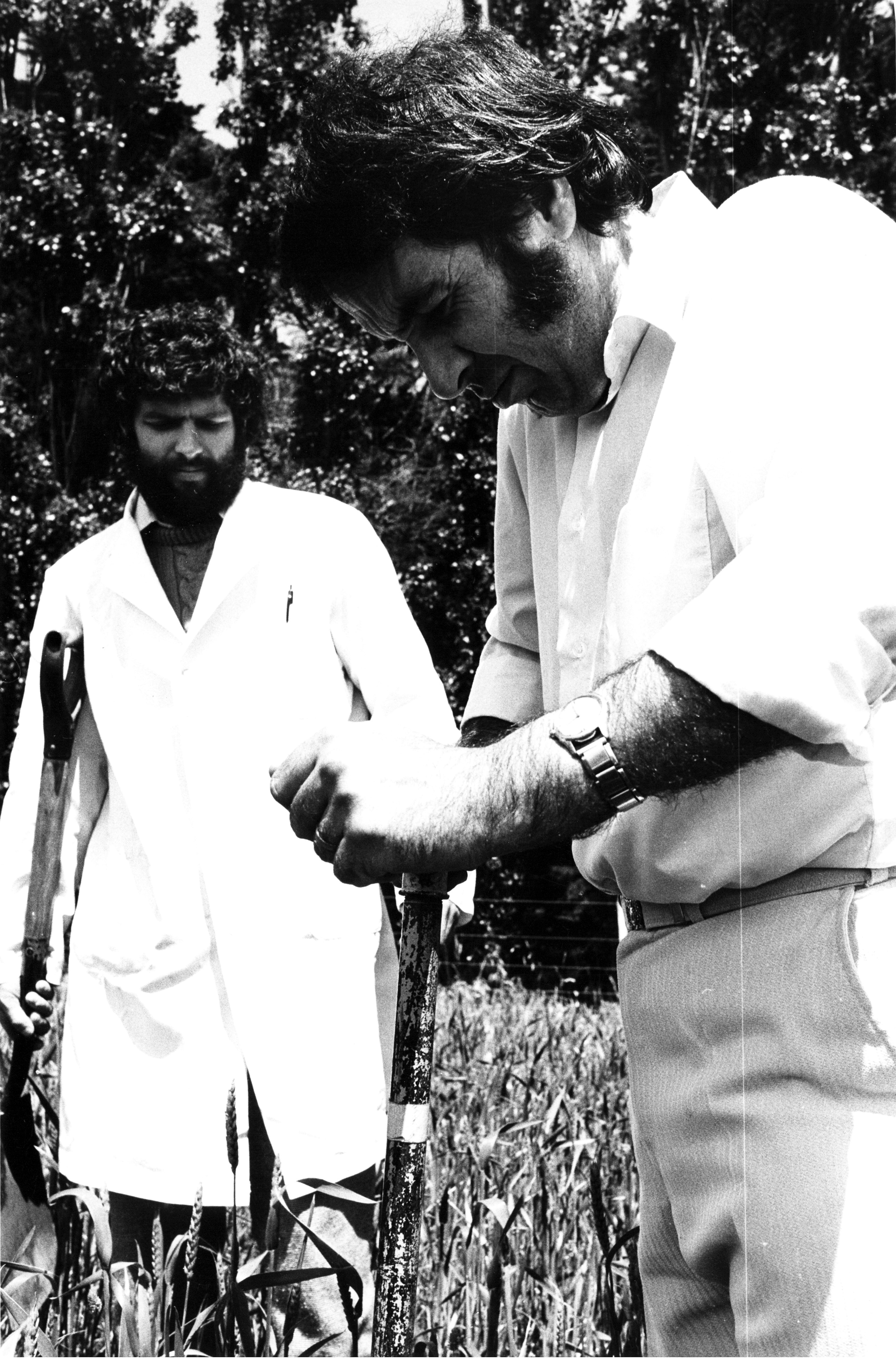 1970s Moisture test for soil