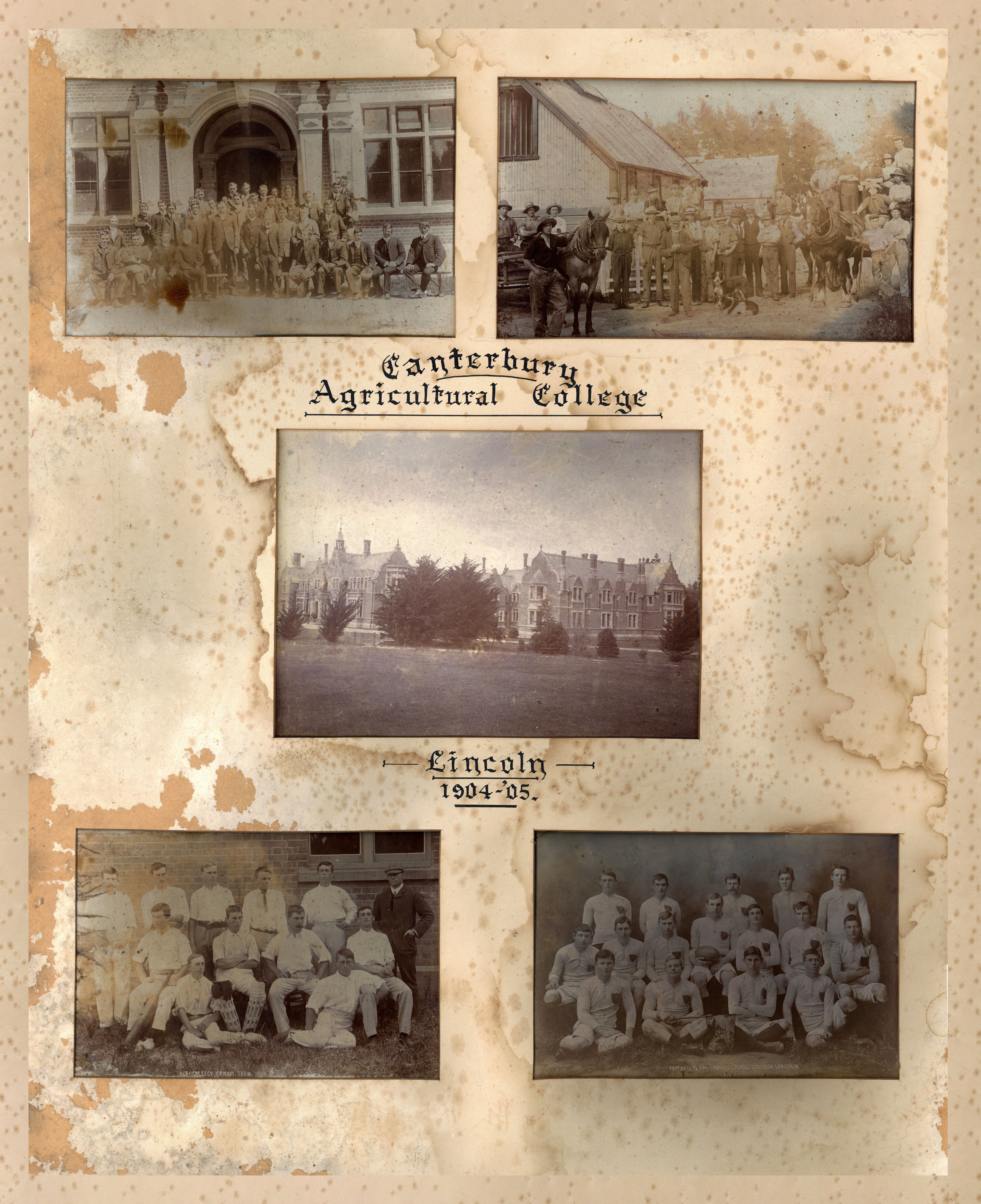 1904-1905 Canterbury Agricultural College photograph