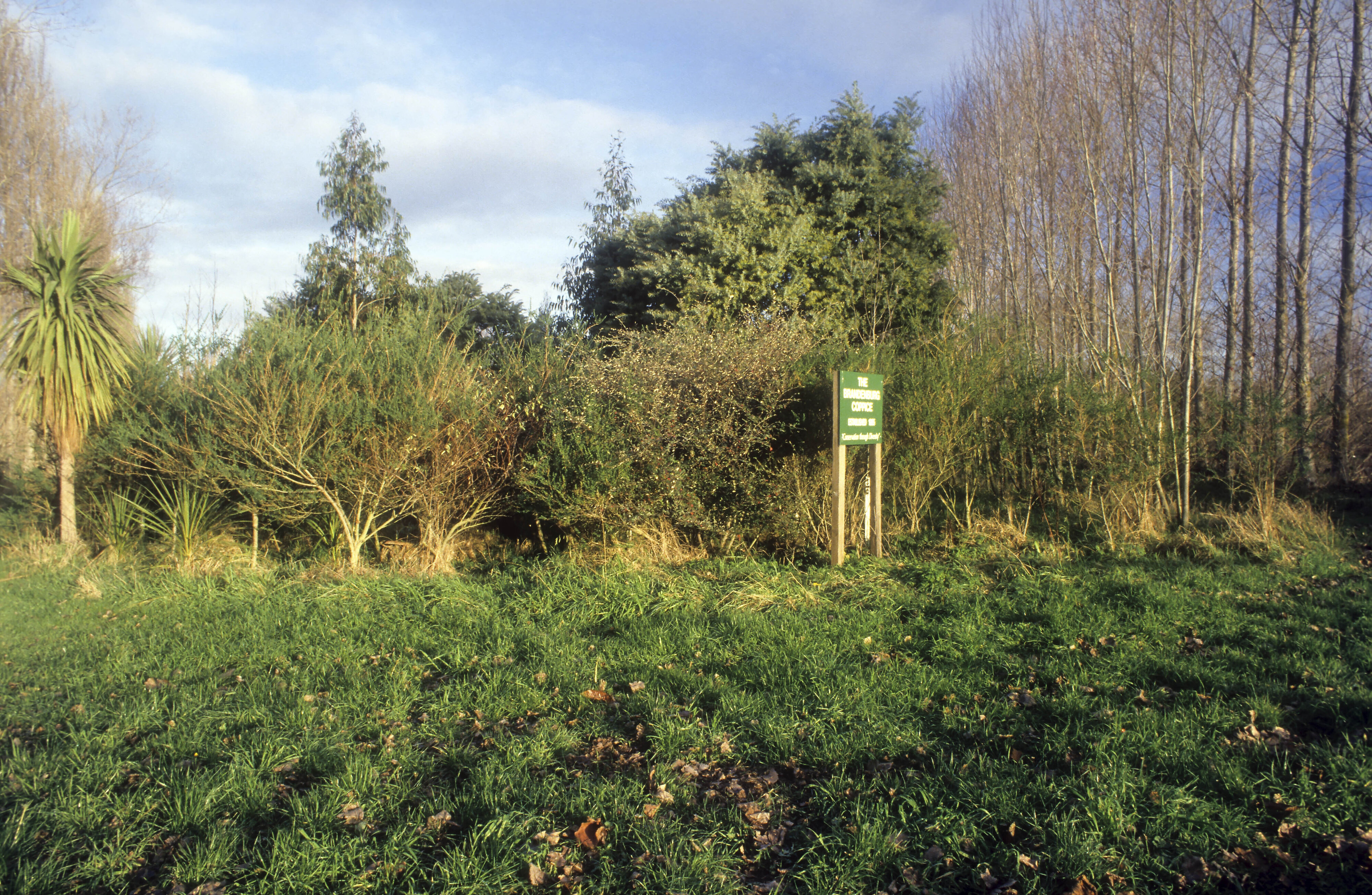 1987 Bill Brandenburg Coppice 01