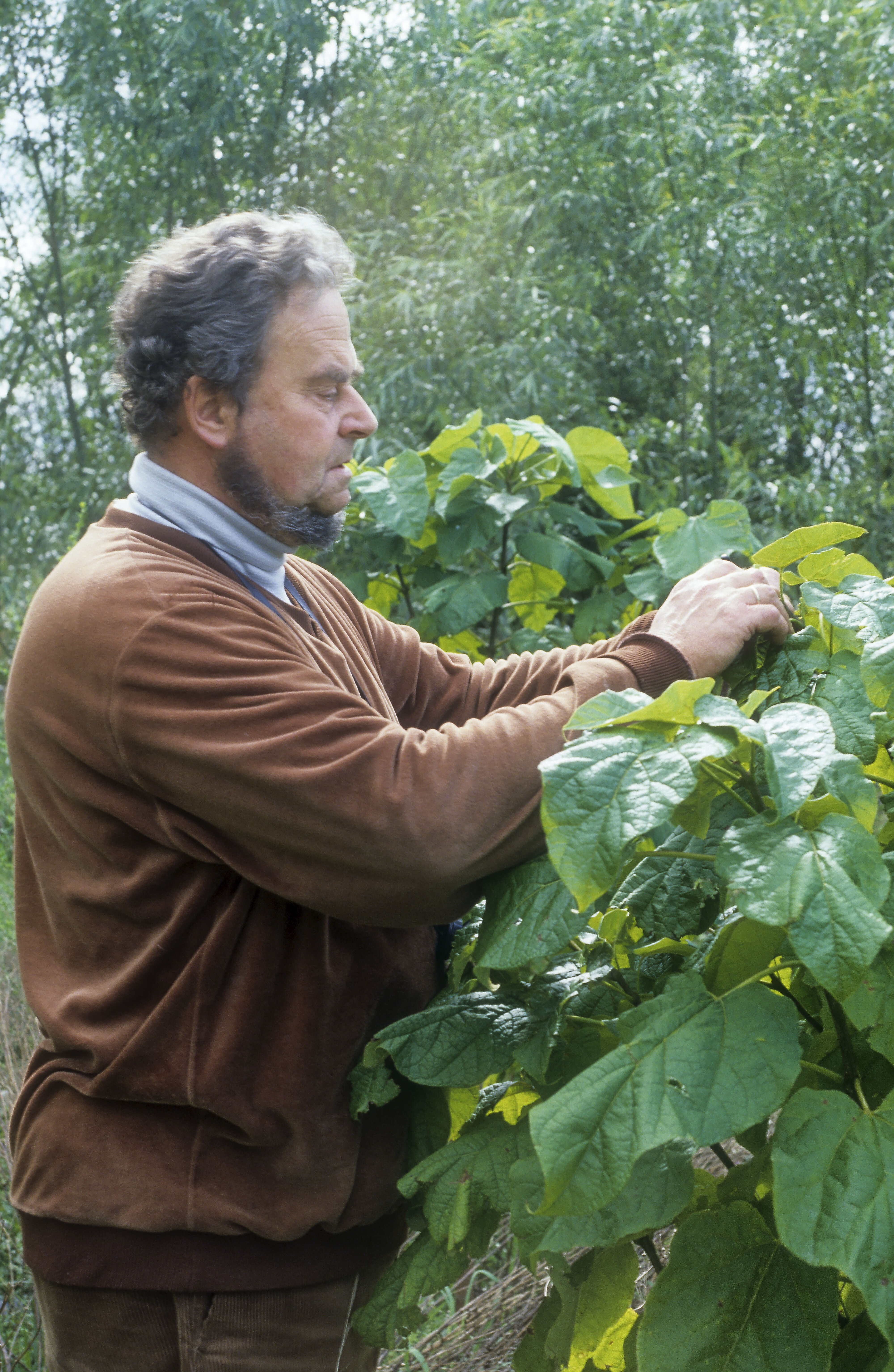 1987 Bill Brandenburg Coppice 03