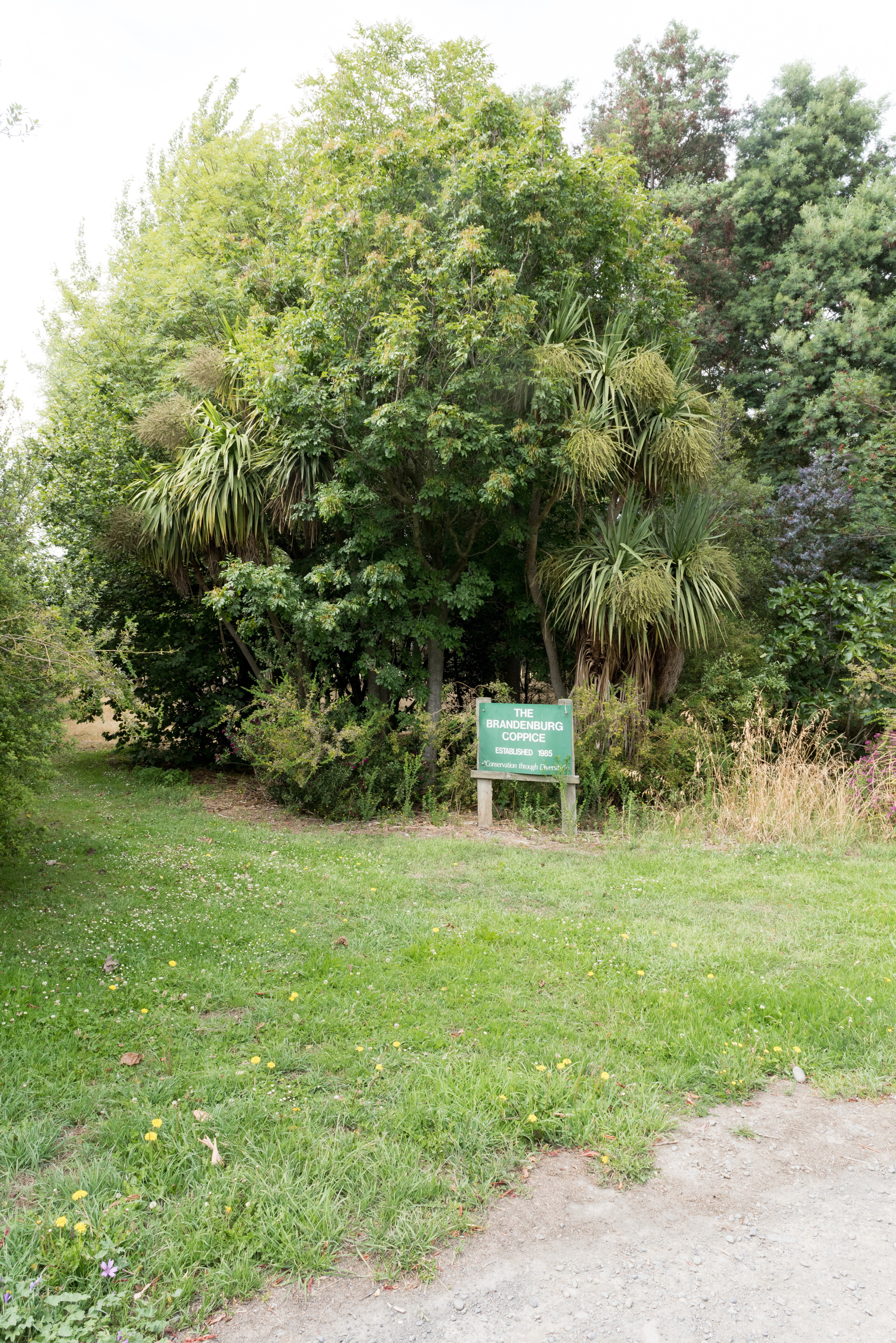 2016 Brandenburg Coppice Lincoln University 01