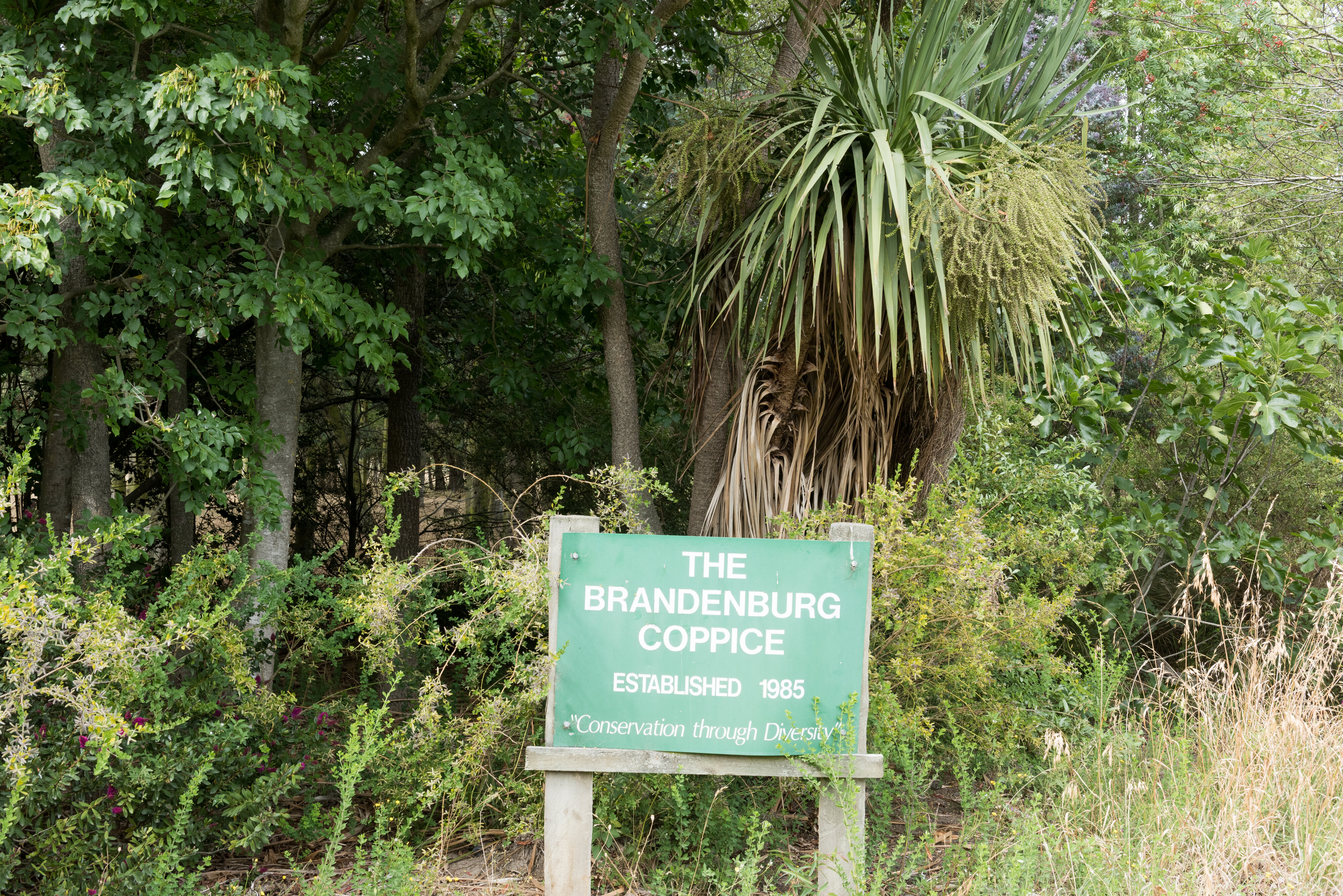 2016 Brandenburg Coppice Lincoln University 02