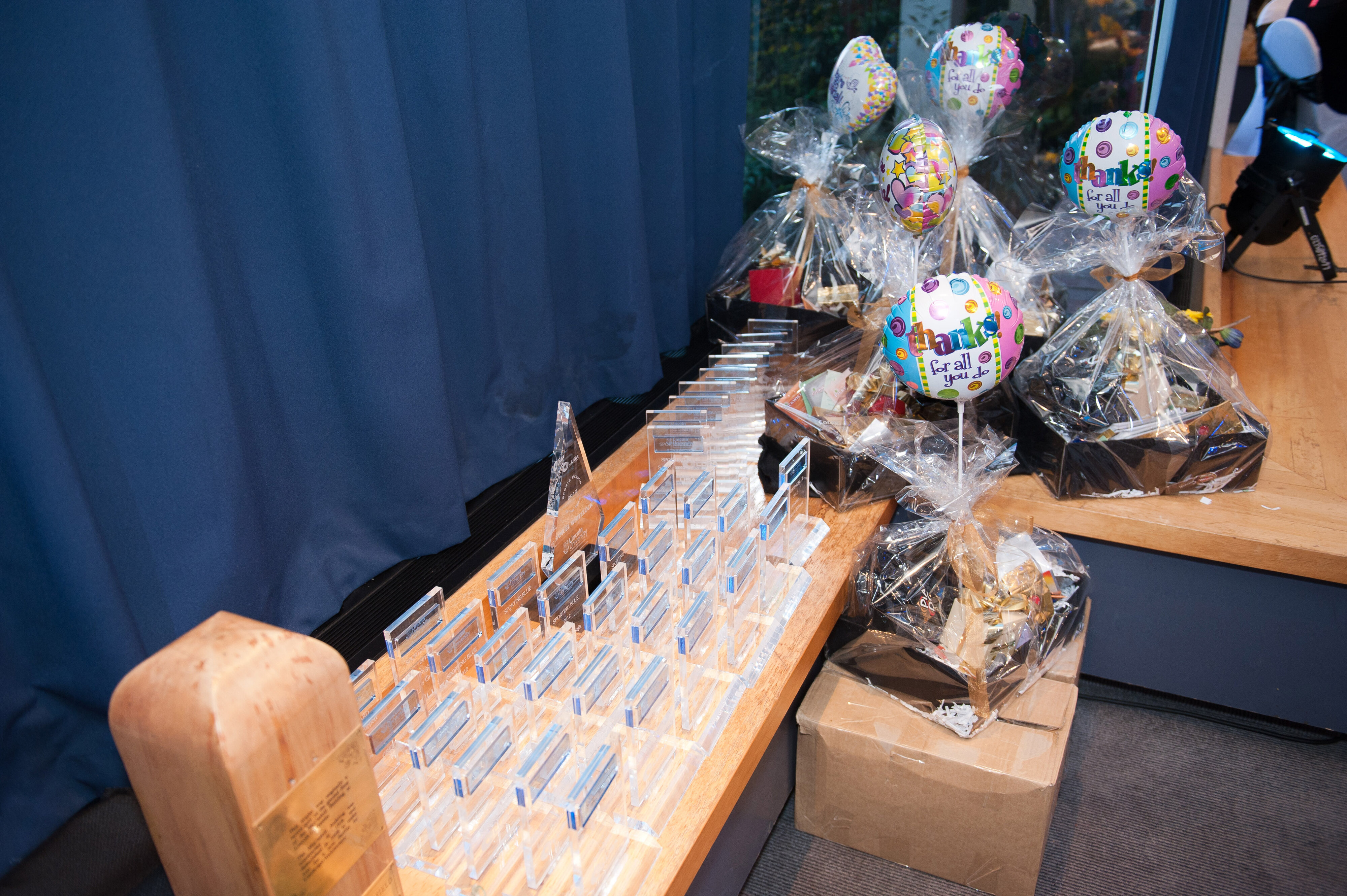 2012 Blues, Golds and Greens Award Lincoln University 09