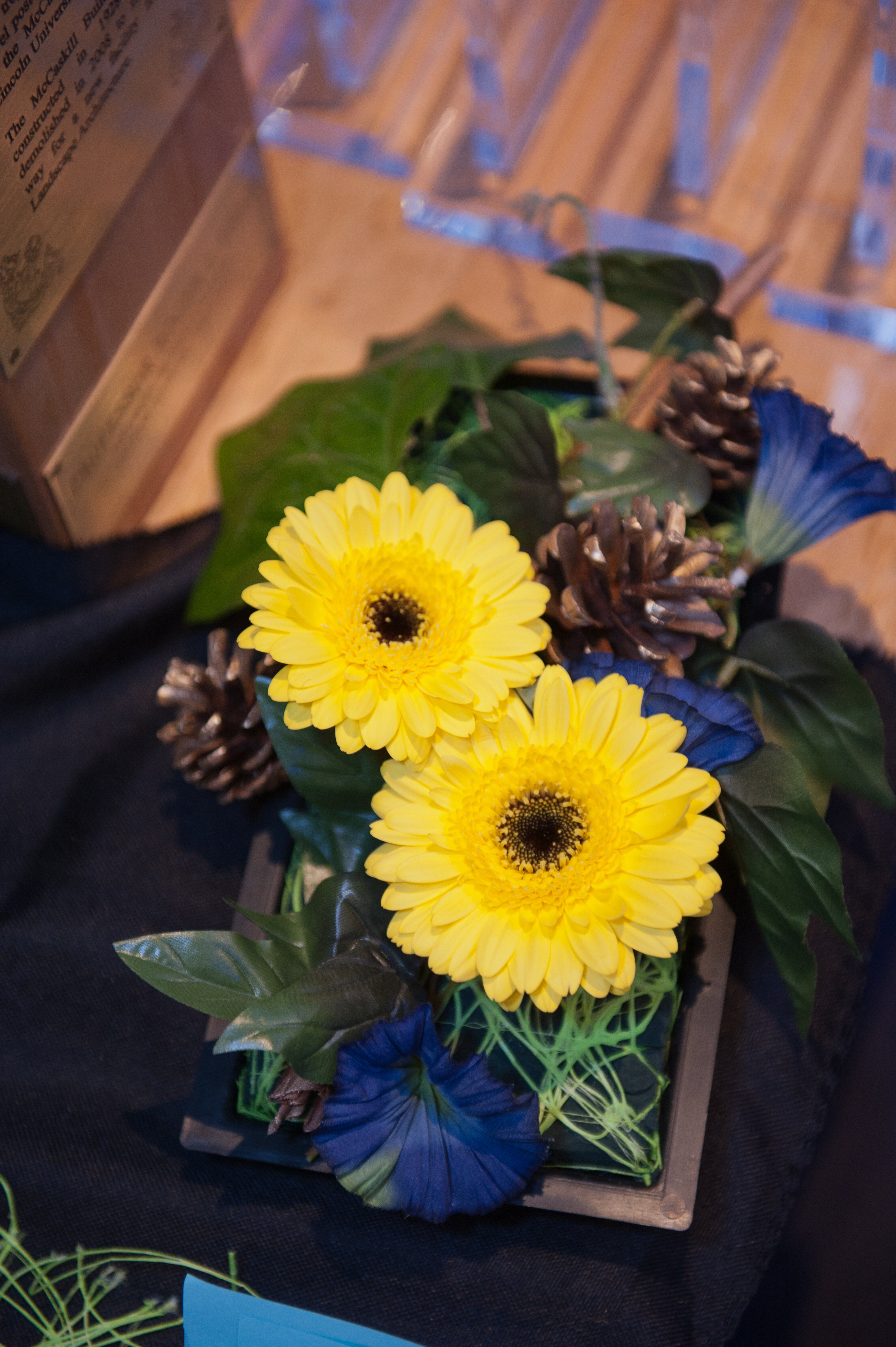 2012 Blues, Golds and Greens Award Lincoln University 11