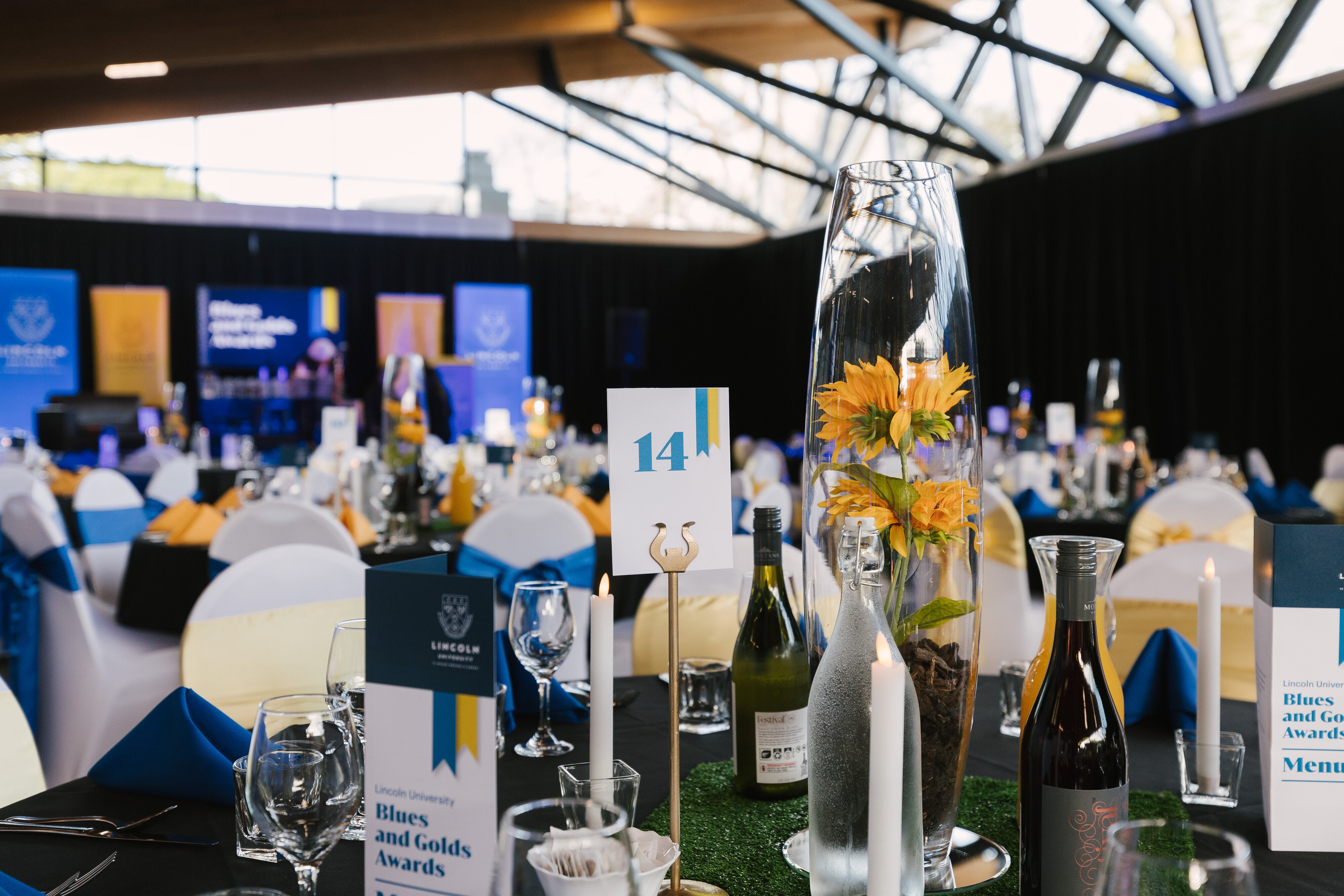 2023 Blues &amp; Golds Award 005