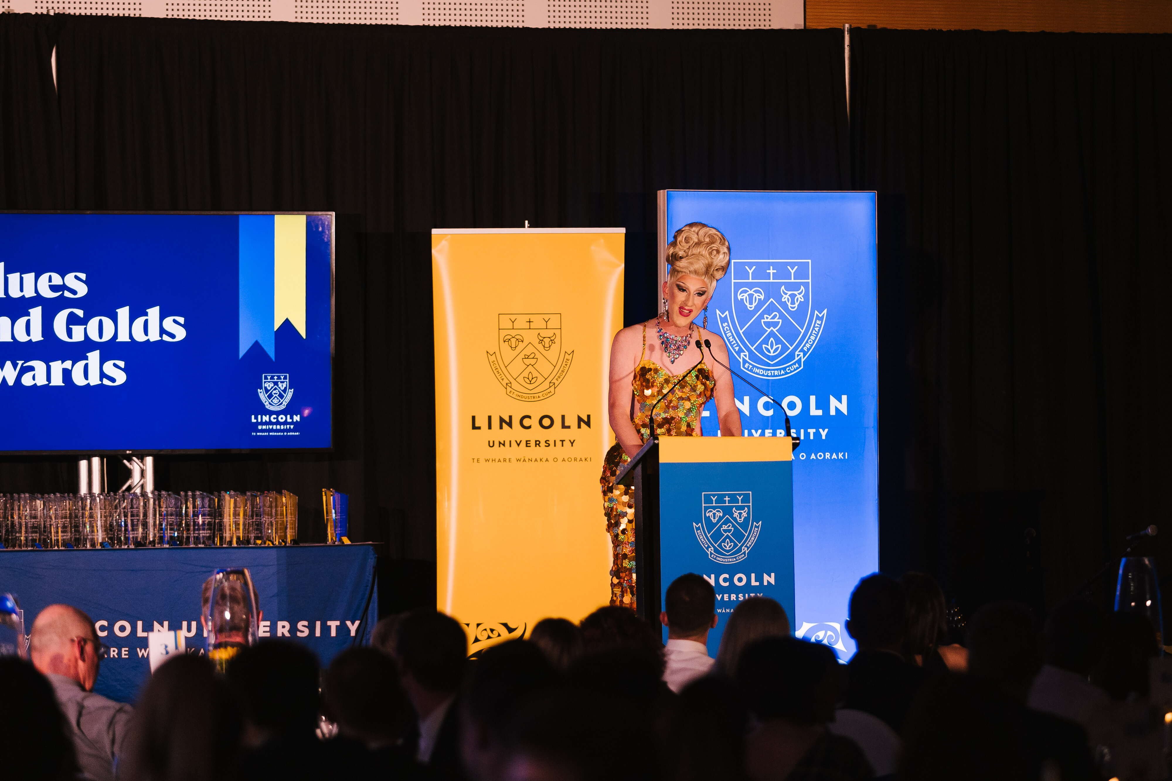 2023 Blues &amp; Golds Award 132