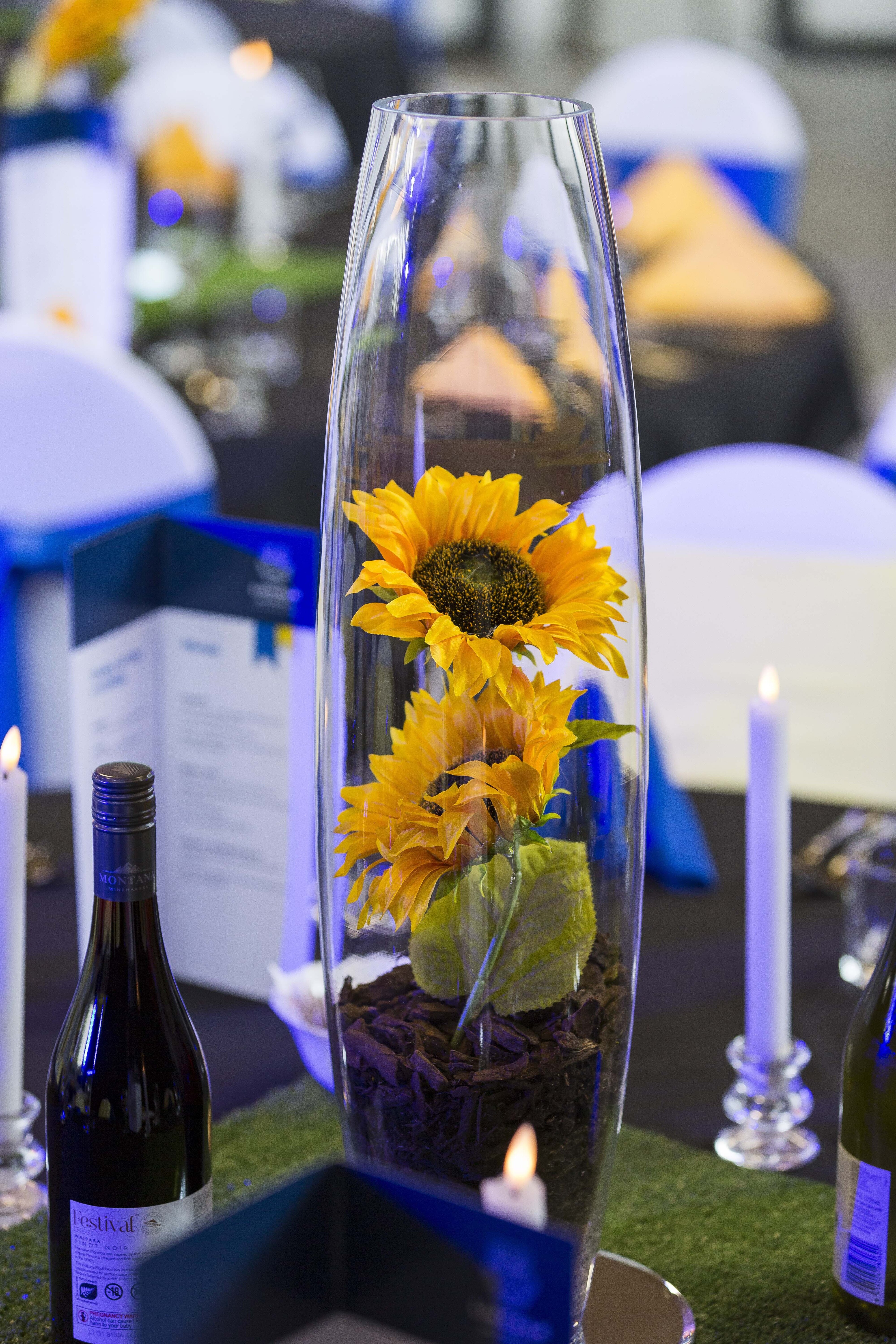 2023 Blues &amp; Golds Award 289