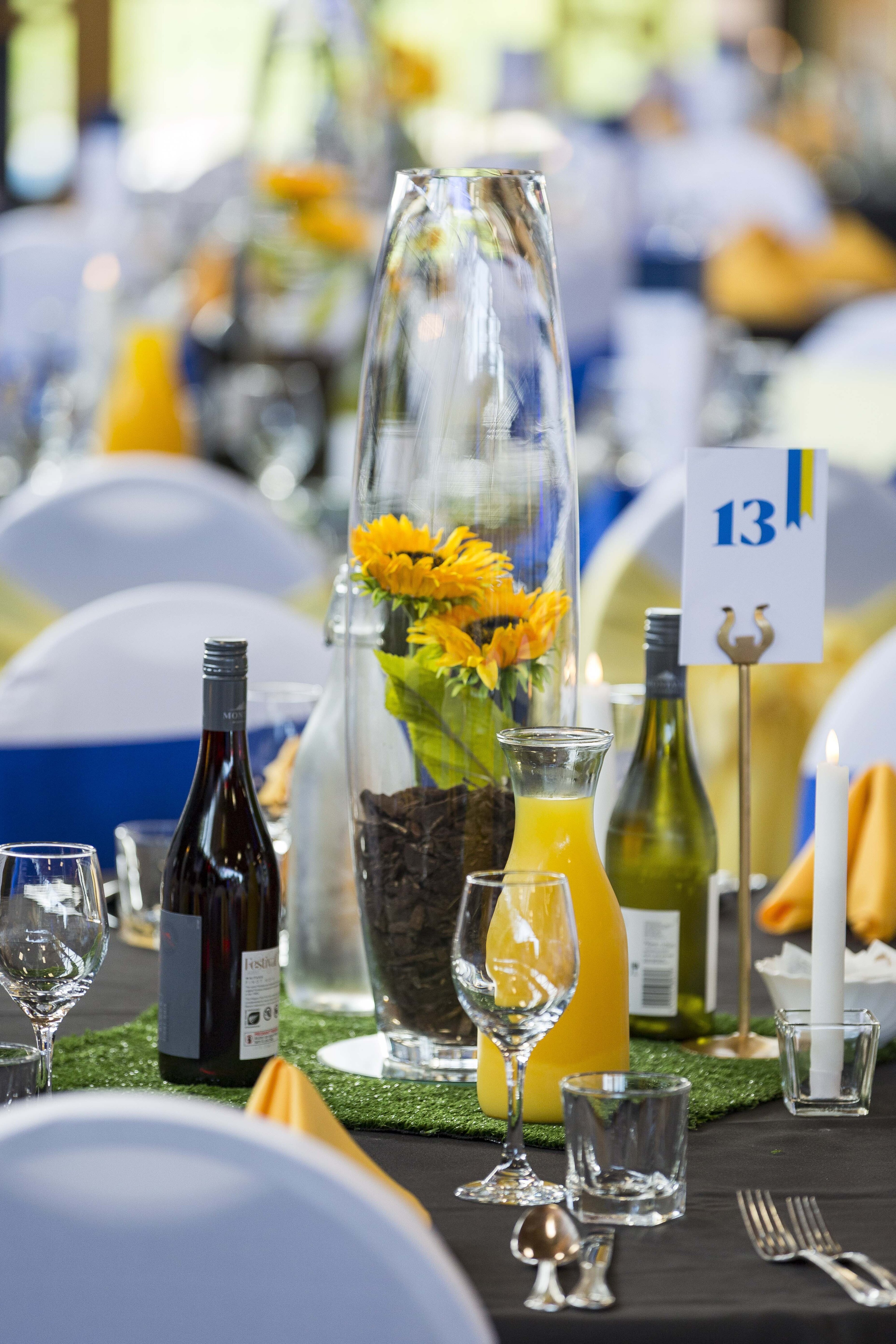 2023 Blues &amp; Golds Award 290