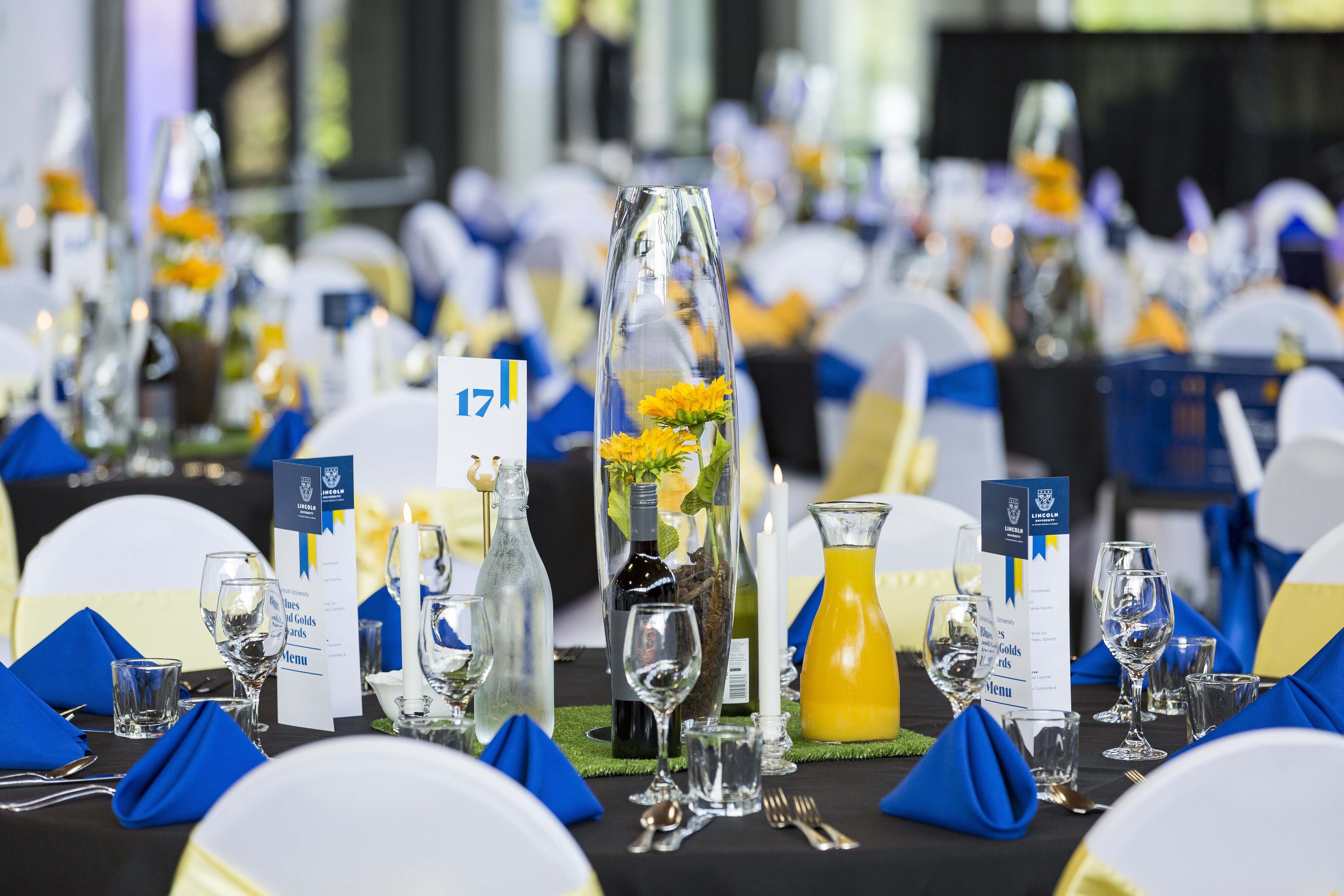 2023 Blues &amp; Golds Award 291