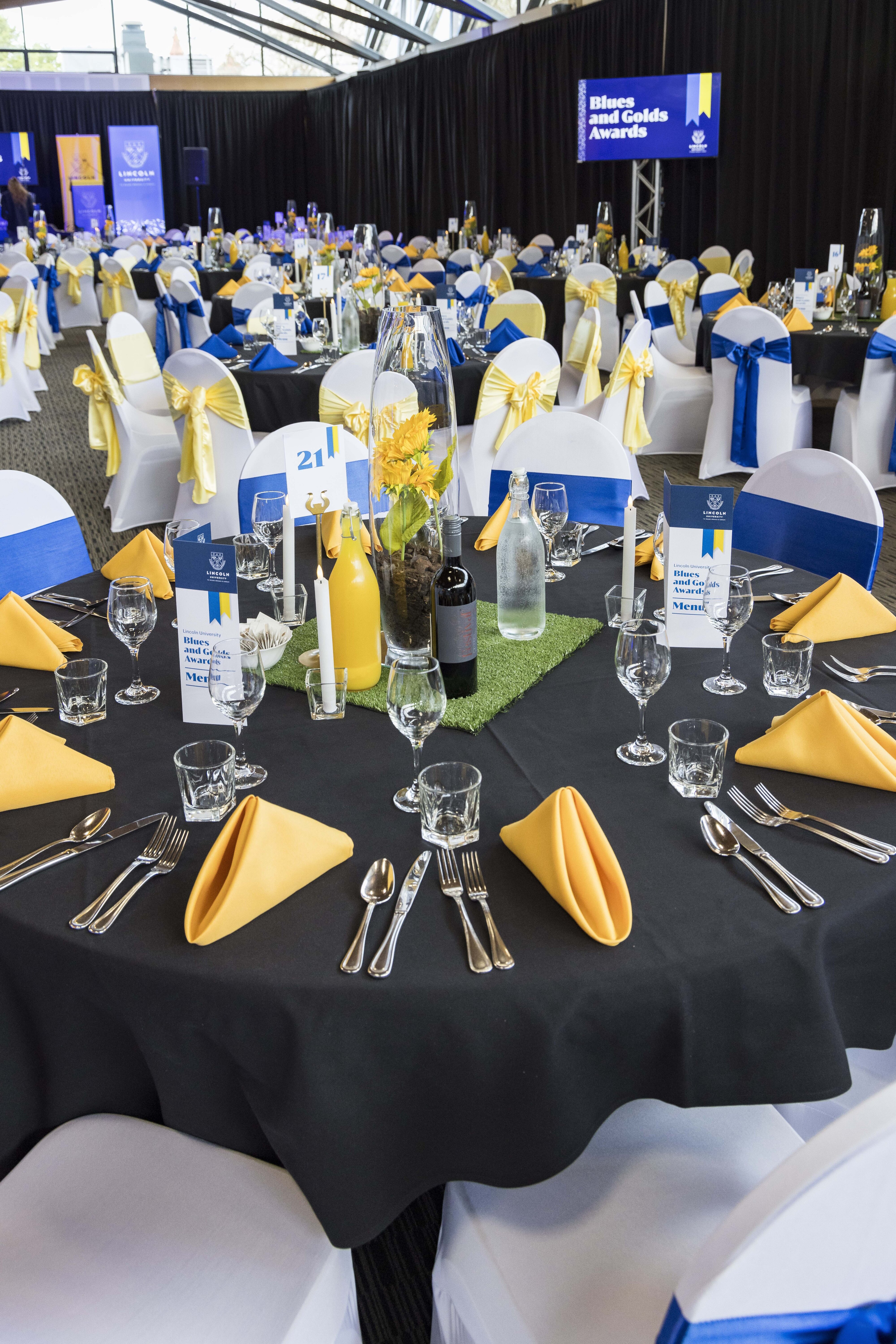 2023 Blues &amp; Golds Award 293