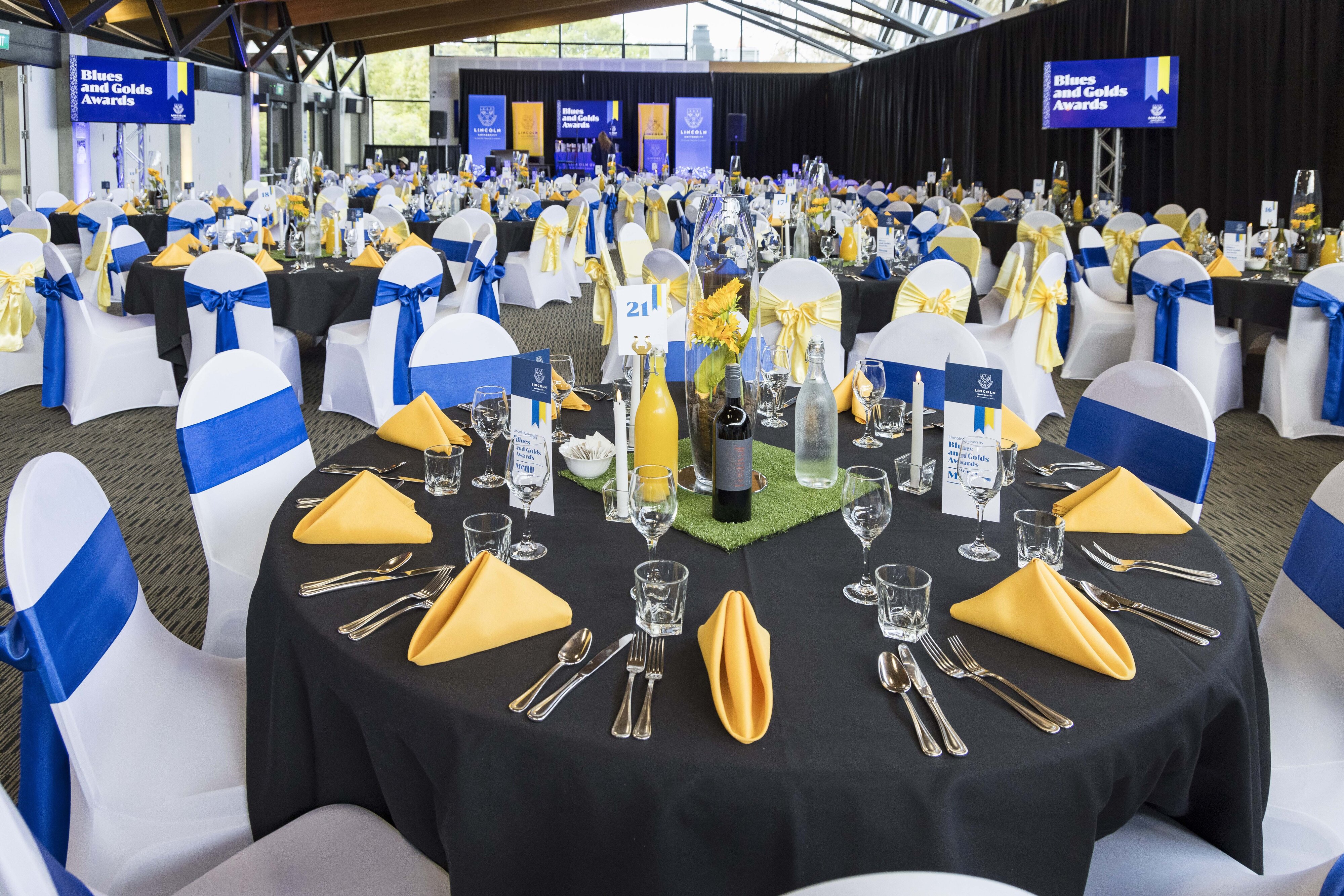 2023 Blues &amp; Golds Award 294