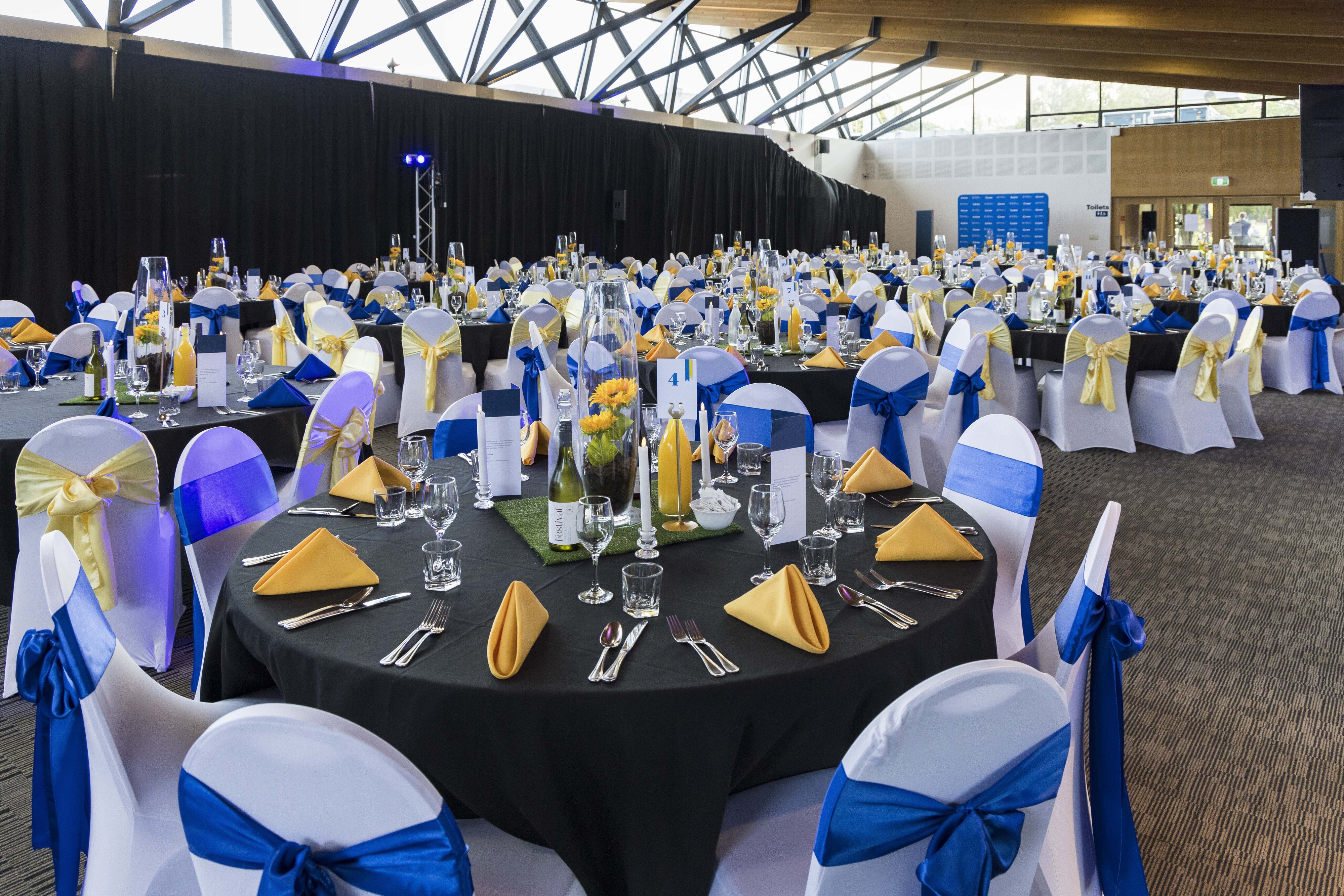 2023 Blues &amp; Golds Award 296