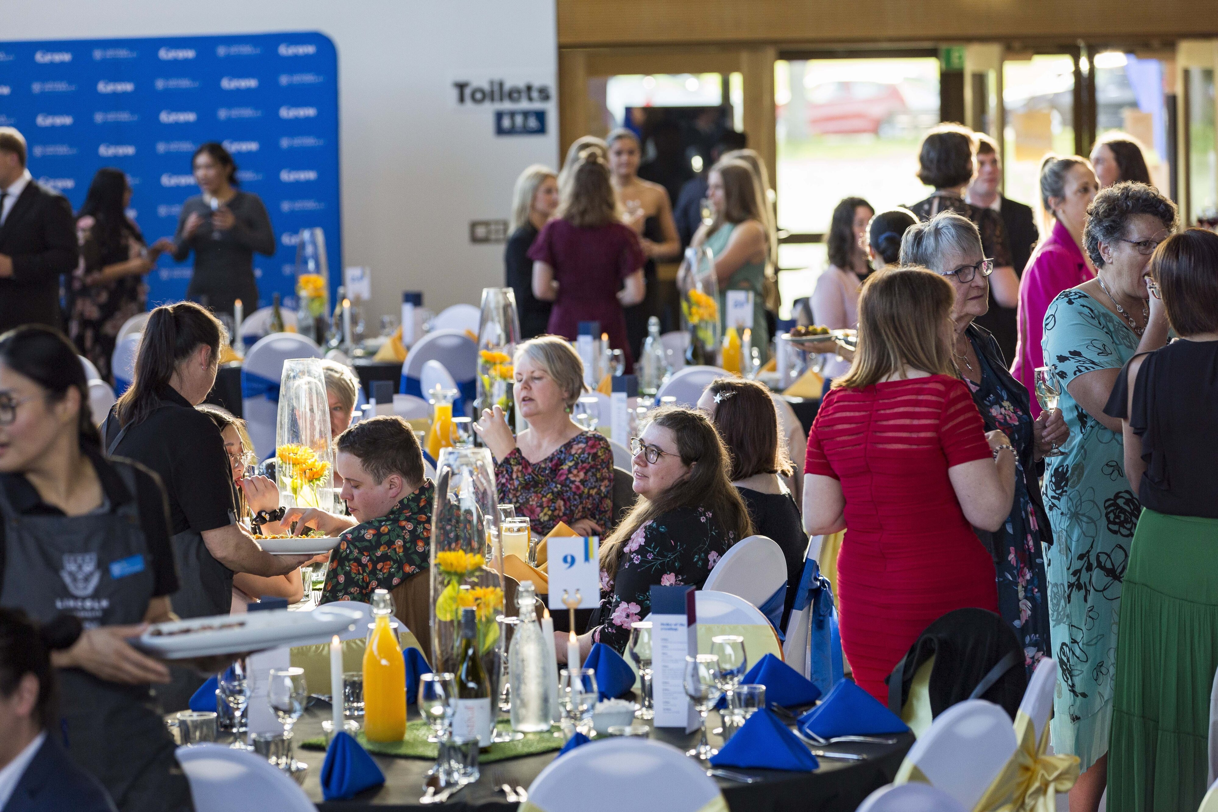 2023 Blues &amp; Golds Award 339