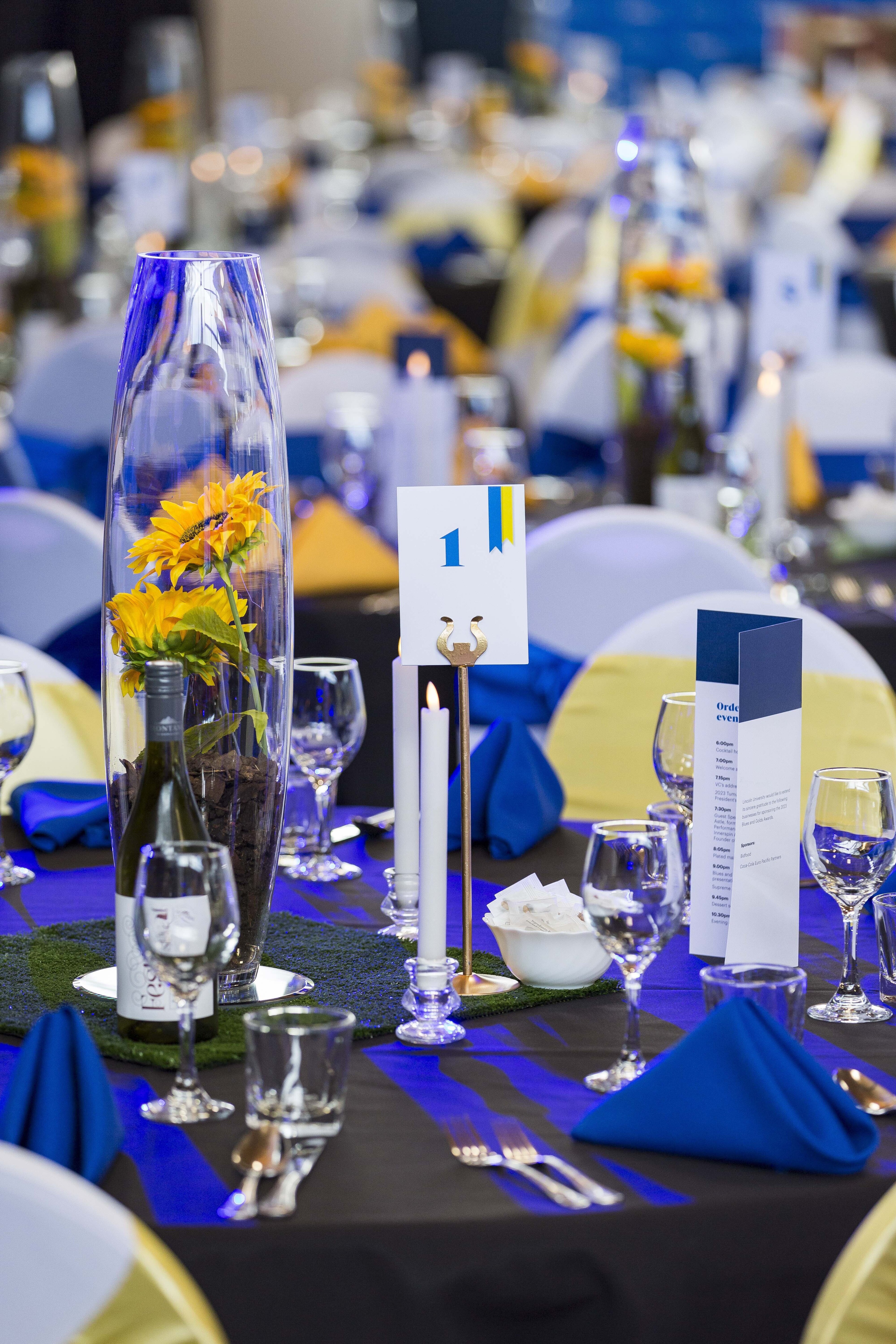 2023 Blues &amp; Golds Award 347