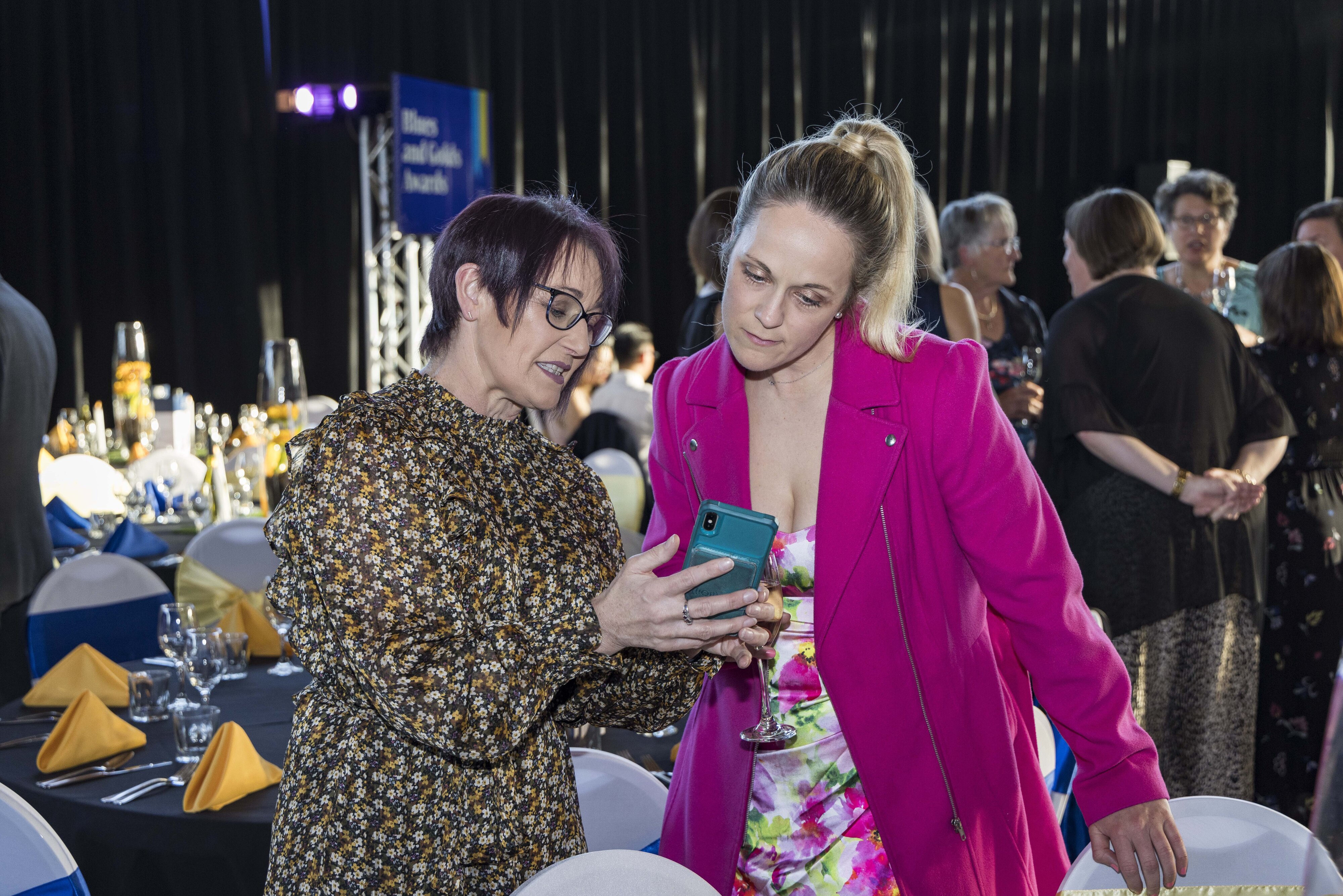 2023 Blues &amp; Golds Award 356