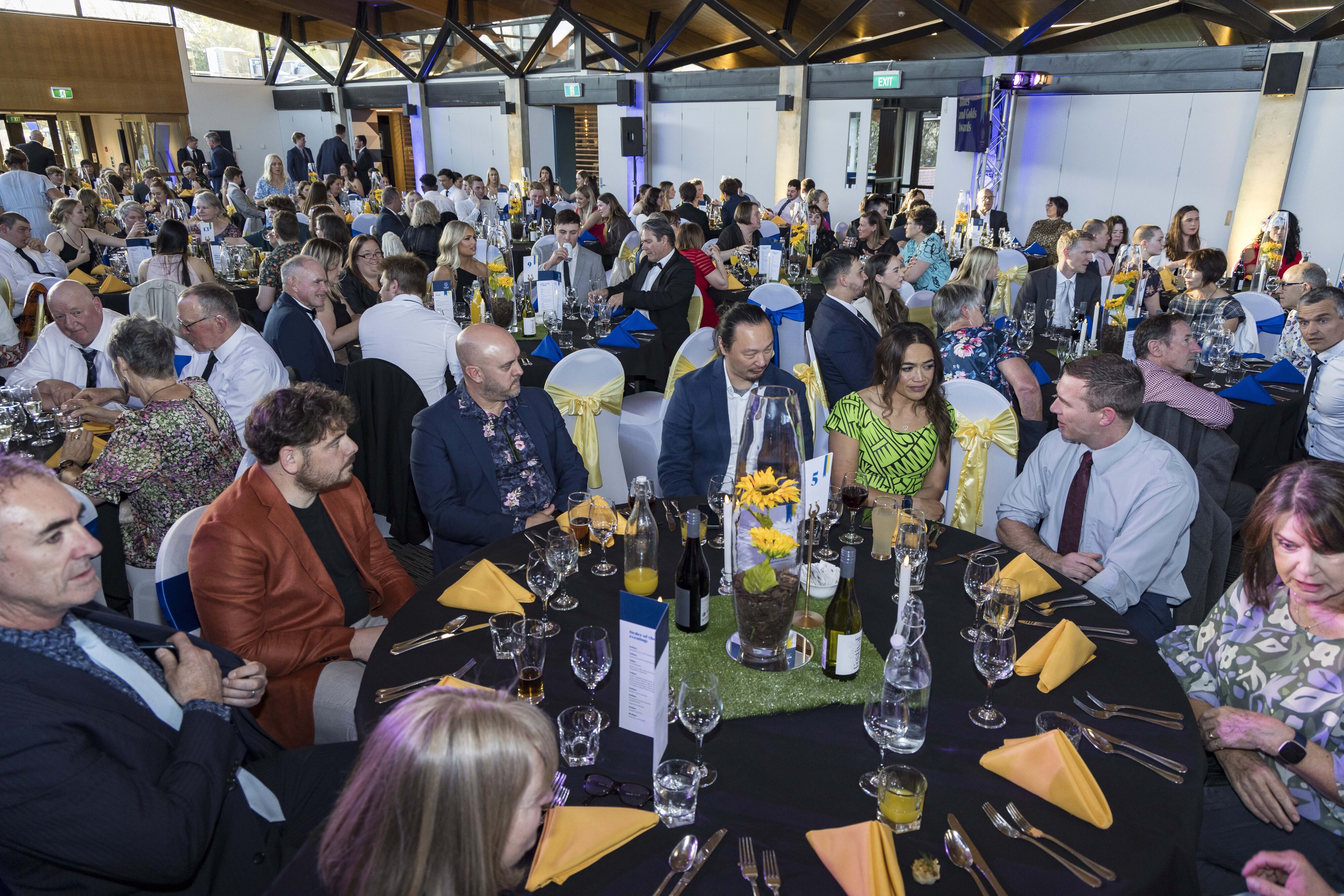 2023 Blues &amp; Golds Award 384