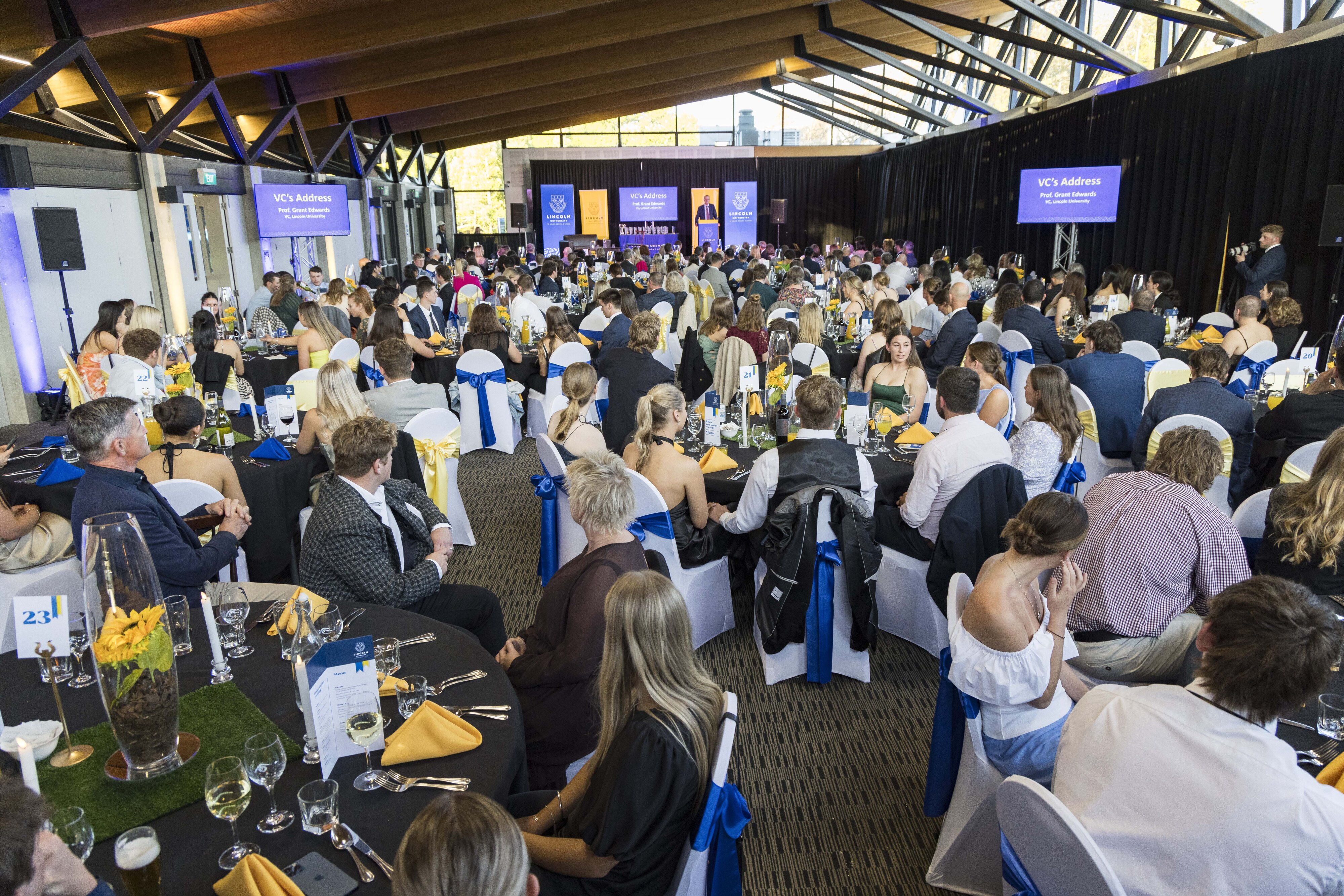 2023 Blues &amp; Golds Award 420