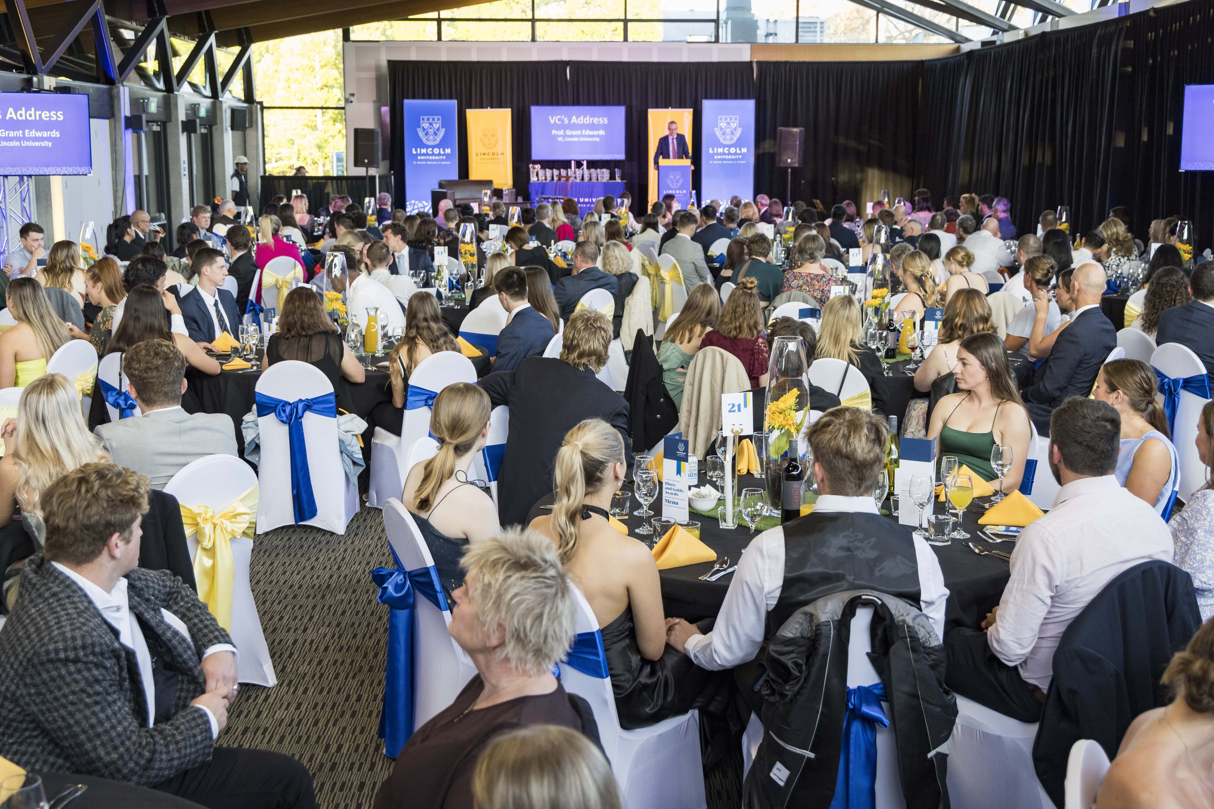 2023 Blues &amp; Golds Award 421