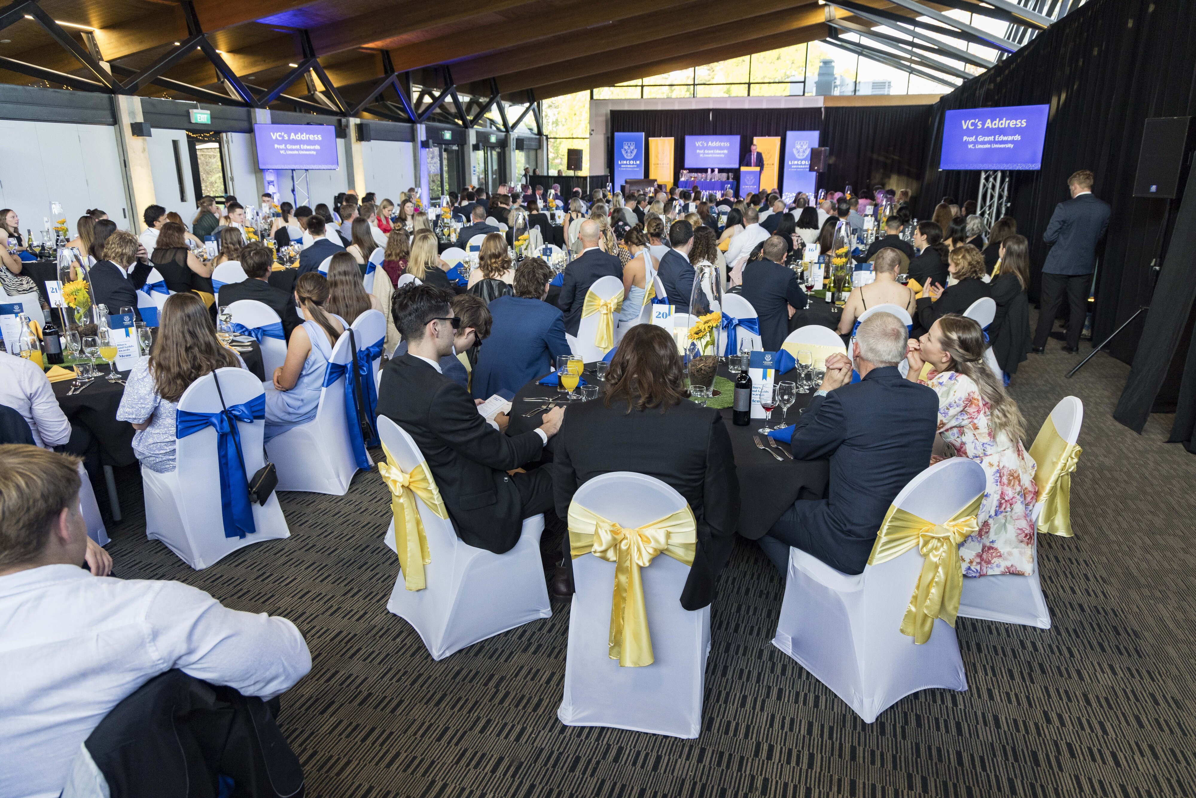 2023 Blues &amp; Golds Award 422