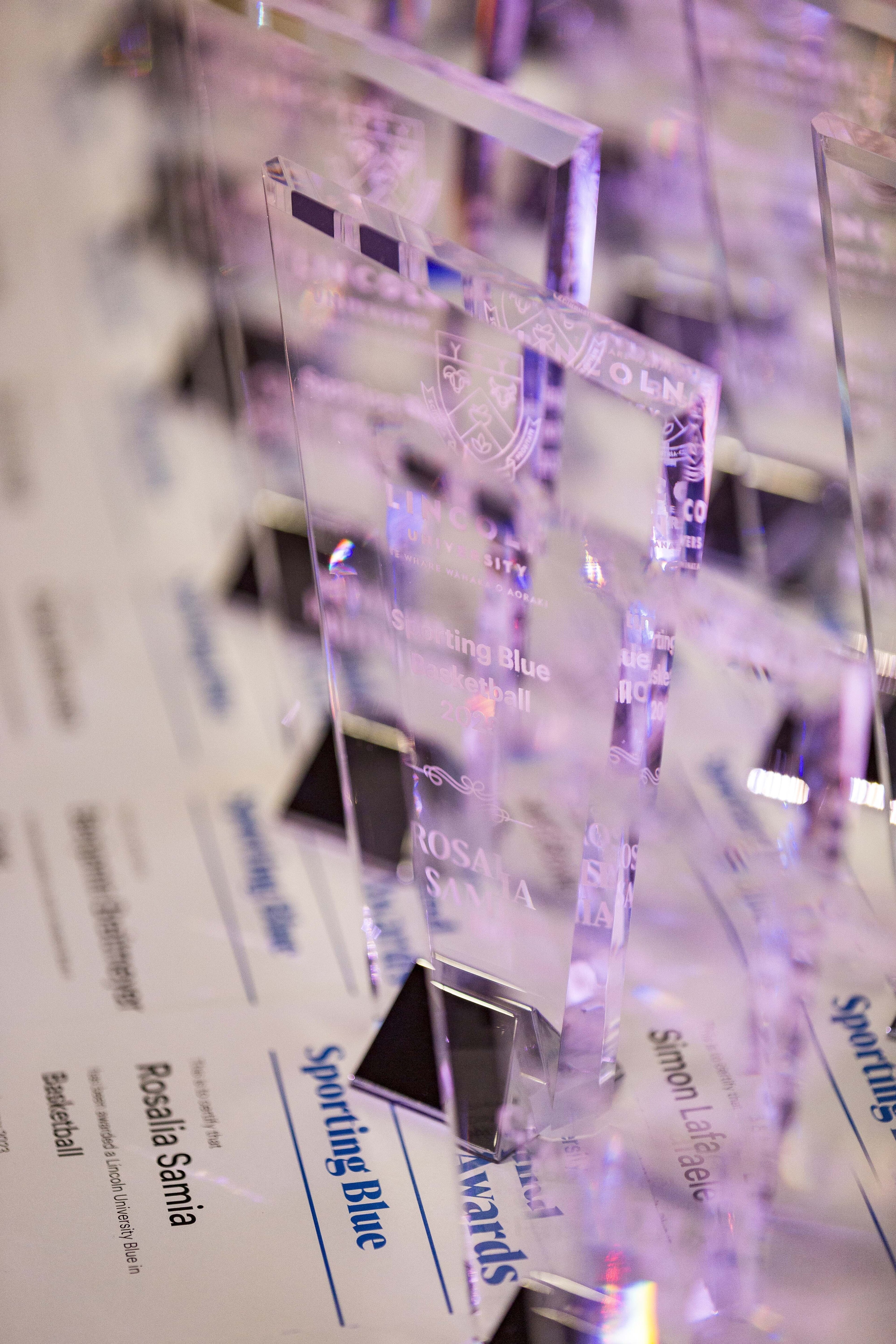 2023 Blues &amp; Golds Award 466