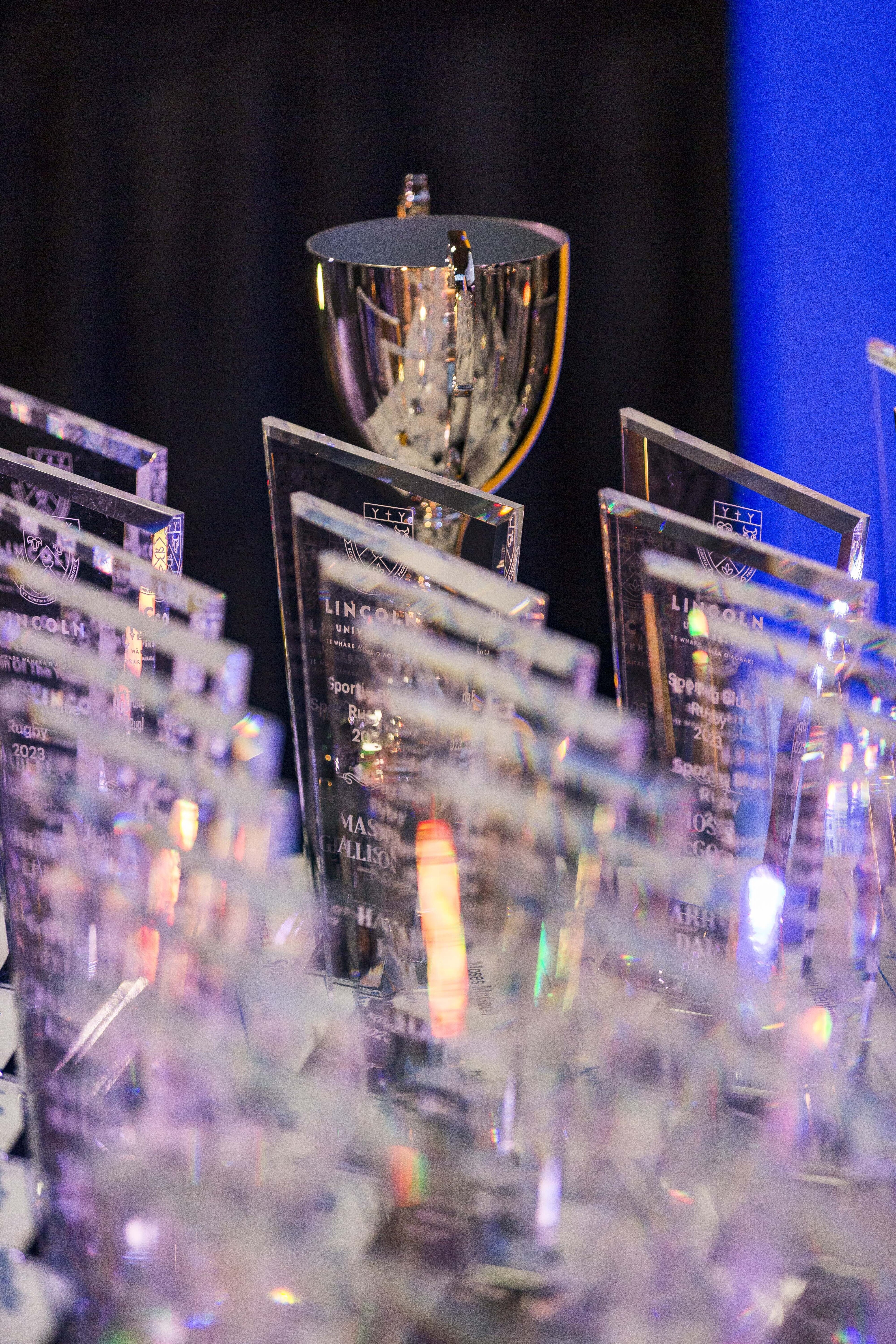 2023 Blues &amp; Golds Award 469