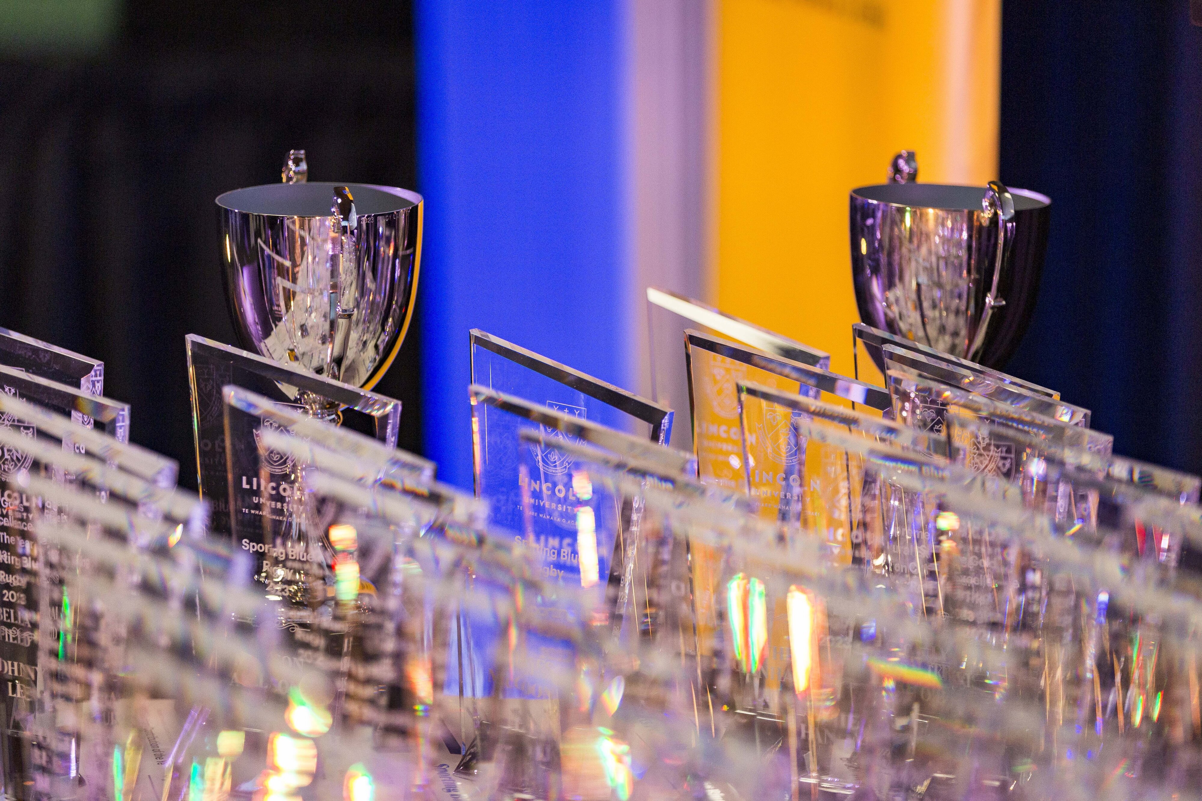 2023 Blues &amp; Golds Award 470