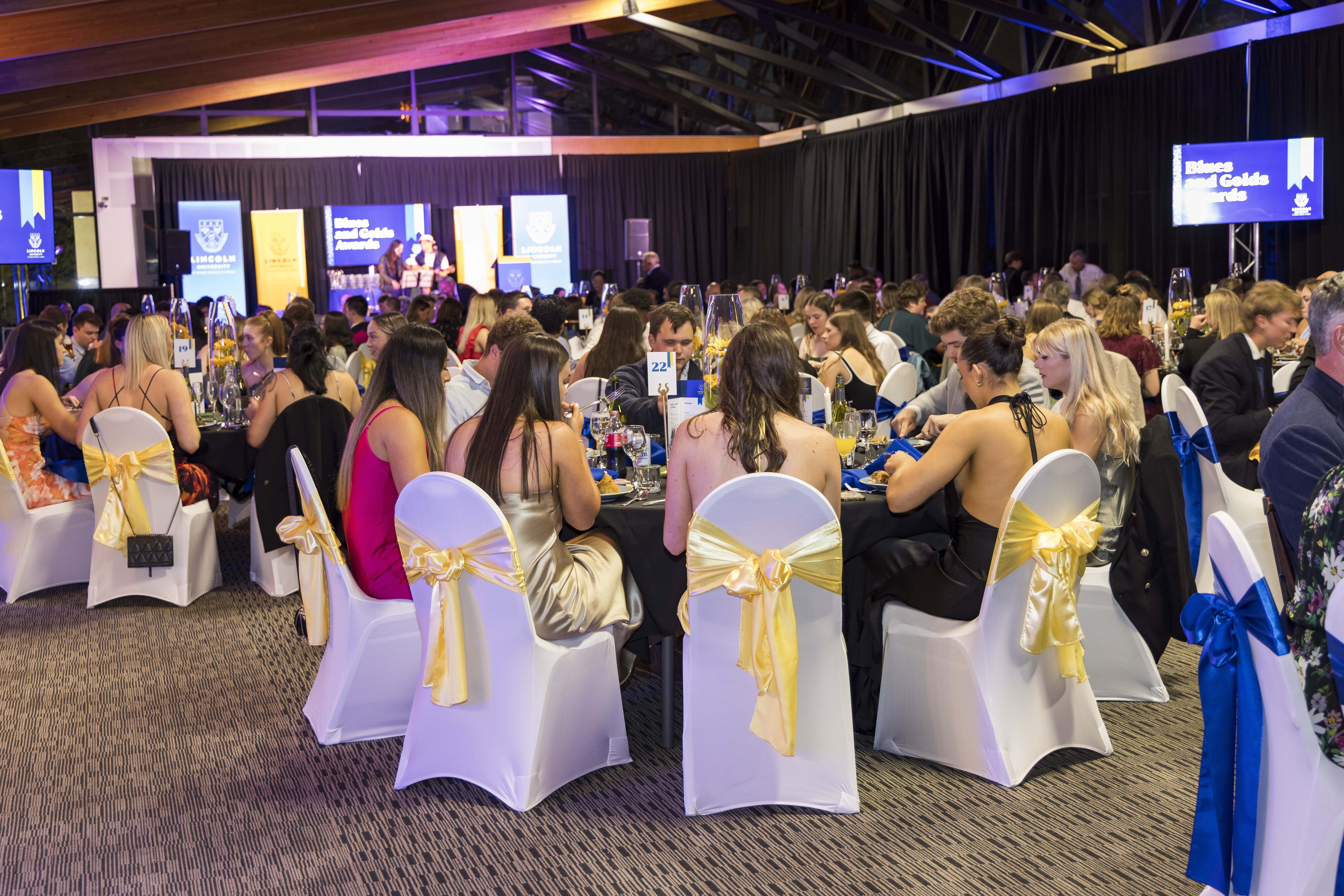 2023 Blues &amp; Golds Award 484