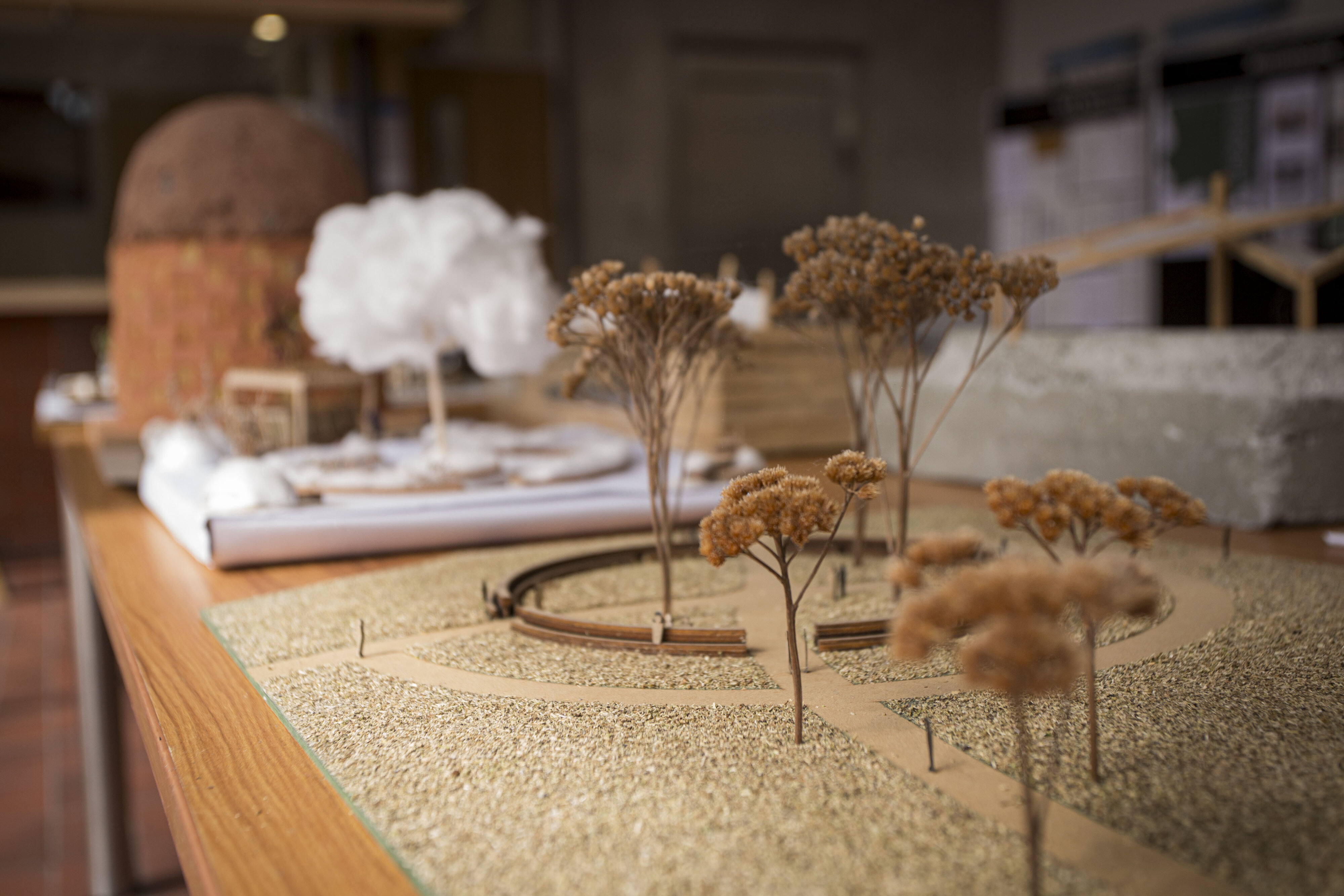 2023 Open Day Lincoln University (290)