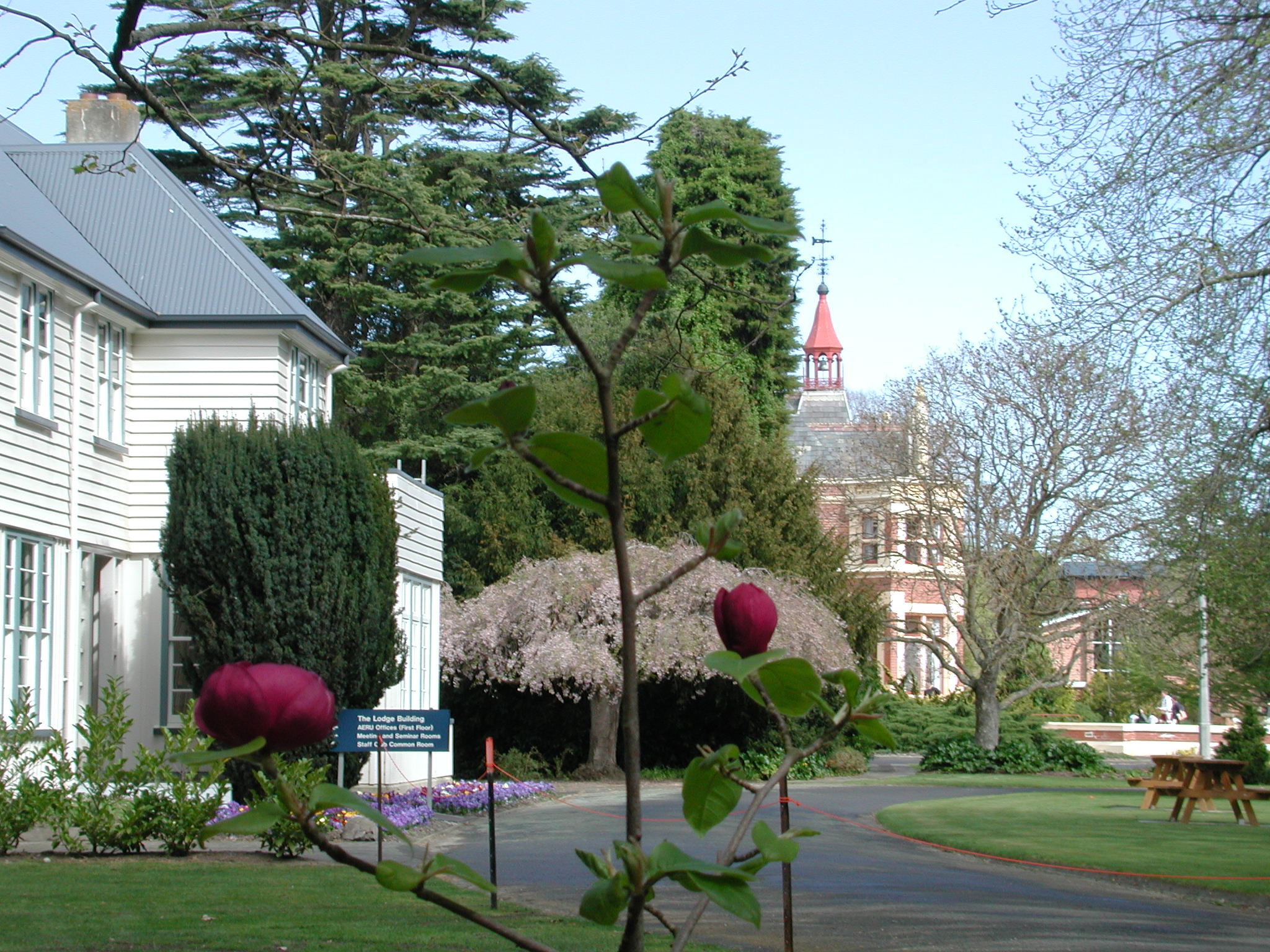 The Lodge &amp; Ivey Hall
