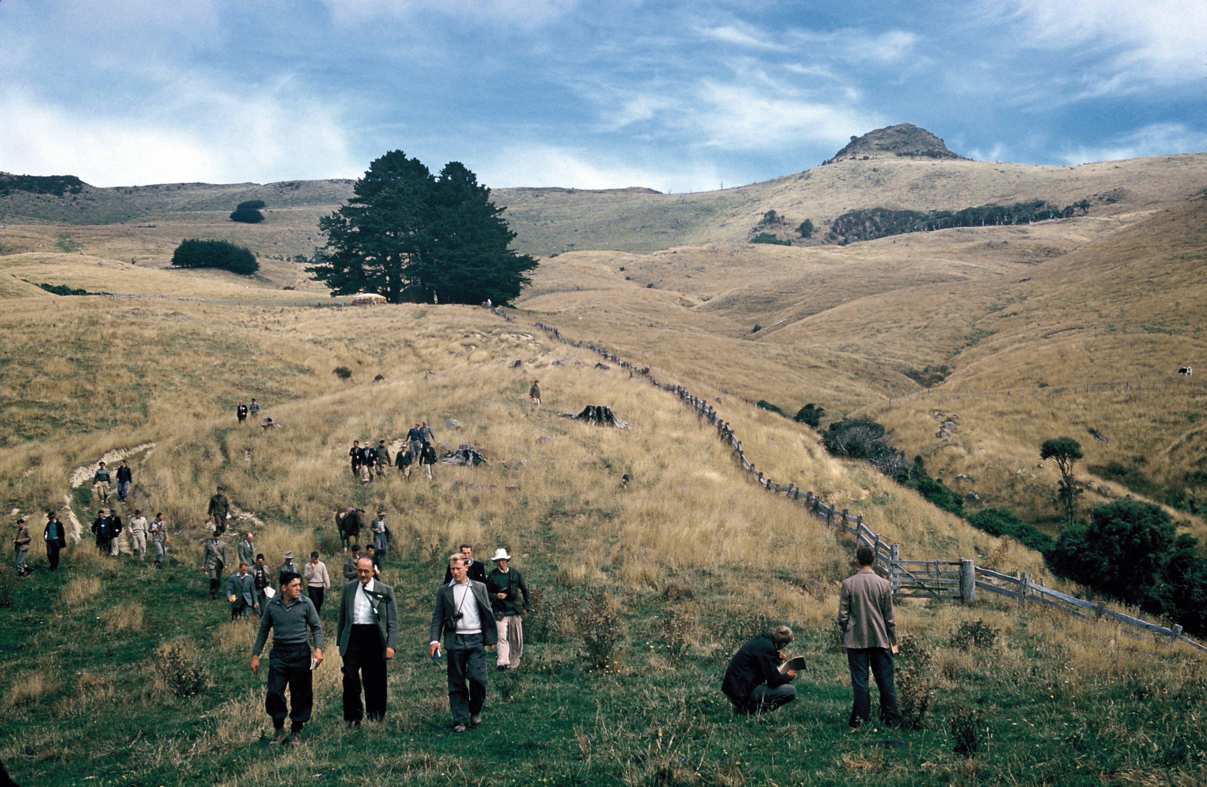 Circa 1957-58 A field trip for Canterbury Agricultural College DipAg students