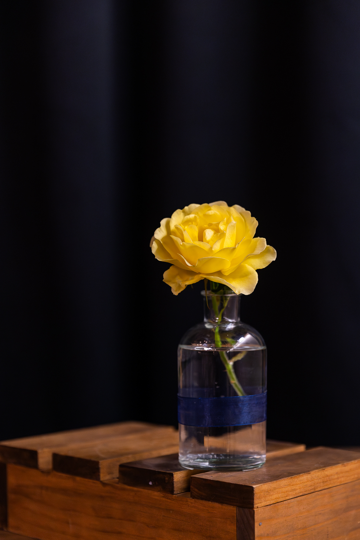 2024 VCs PHD Dinner (181)