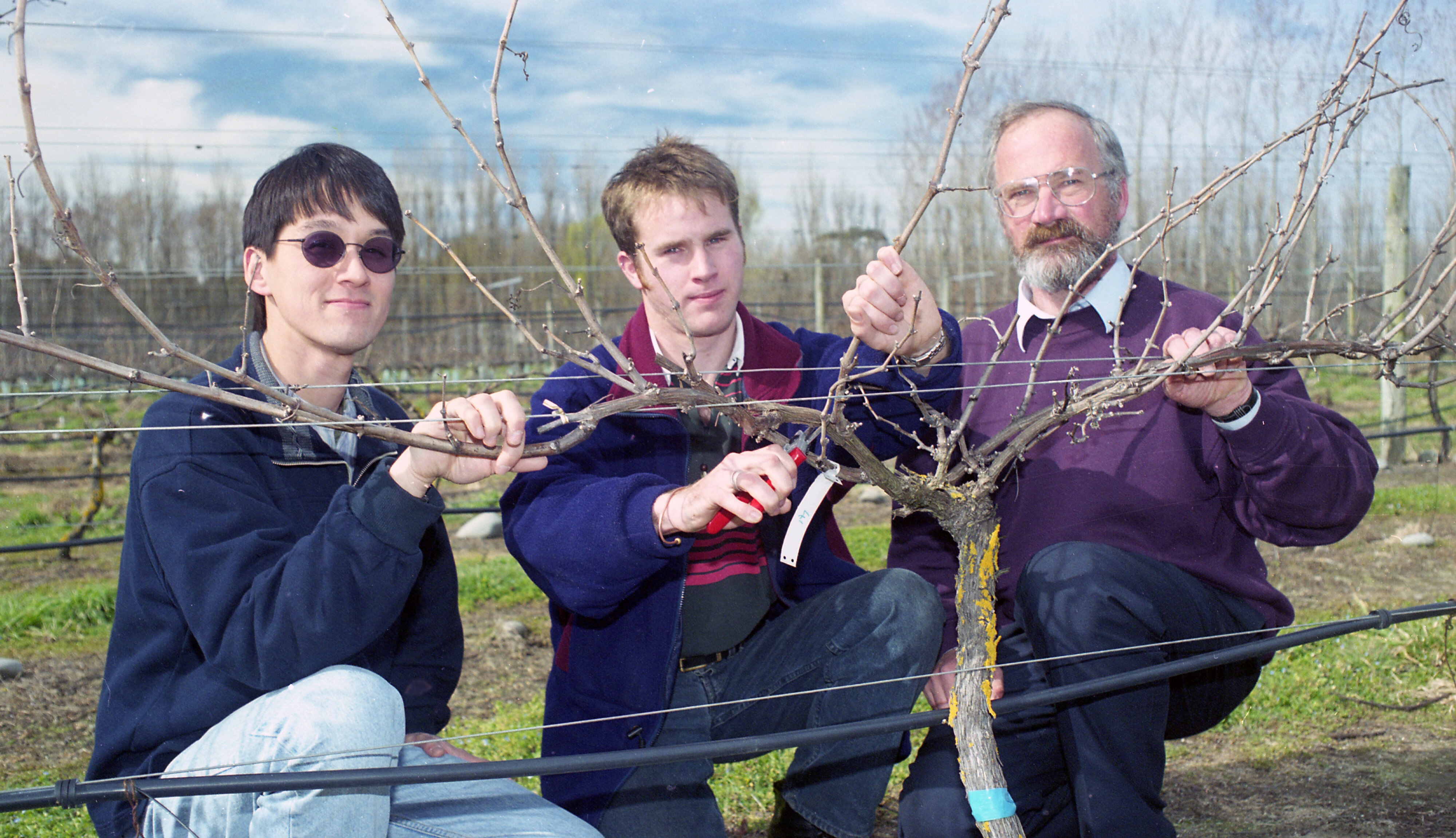 Three Lincoln University Viticulture &amp; Oenology Lecturers:
Glen Stewart, Adam Friend and Mike Trought  in the university's vineyard, August 1998 01