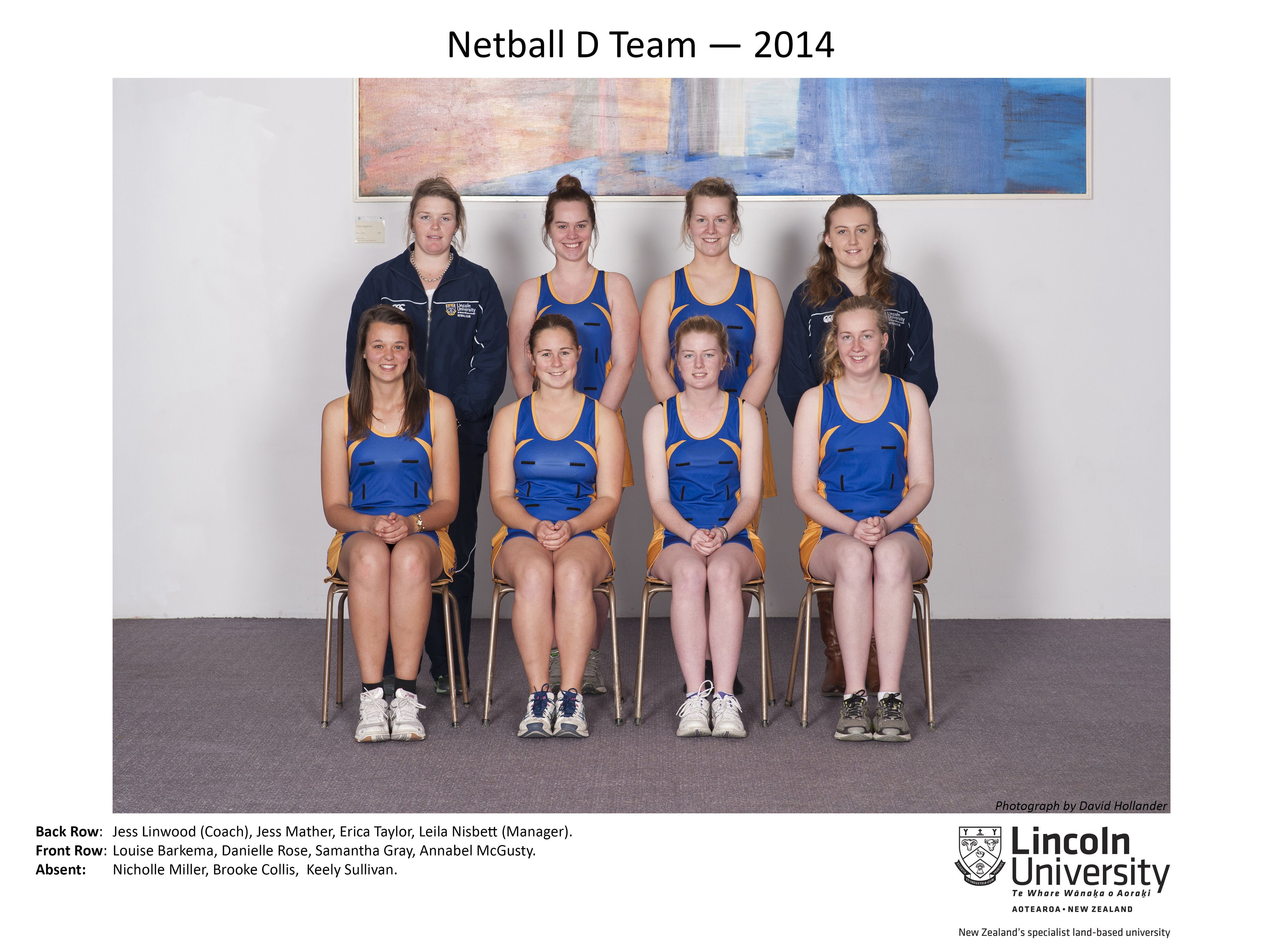 2014 Netball D Team