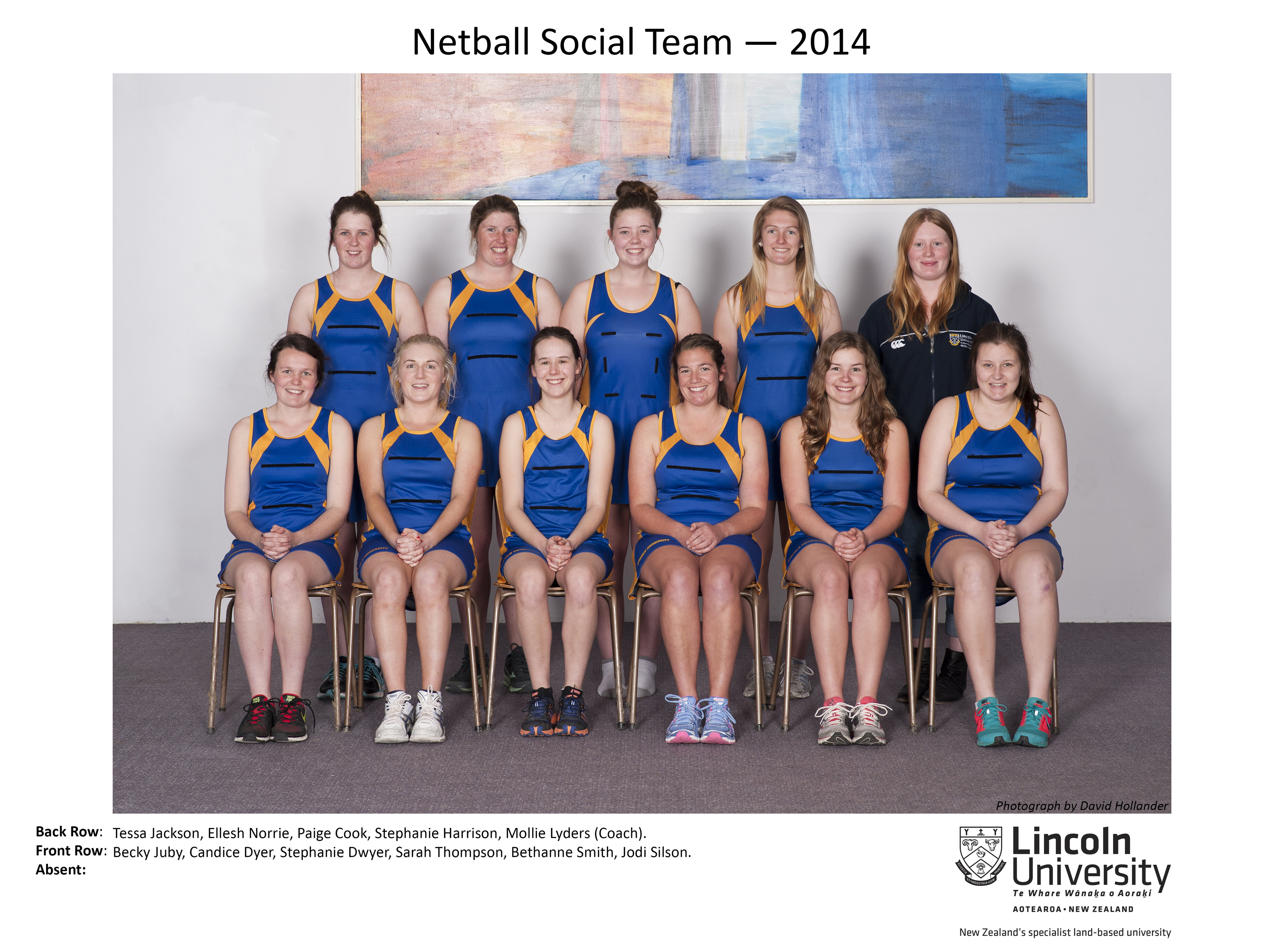 2014 Netball Social team